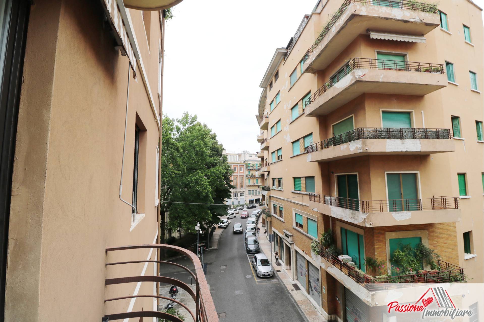 Foto annuncio 10