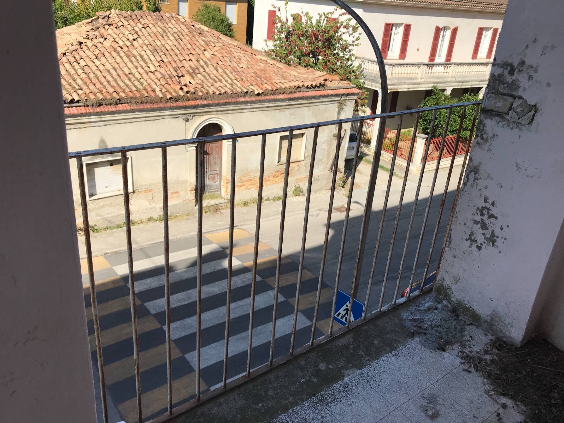 Foto annuncio 13
