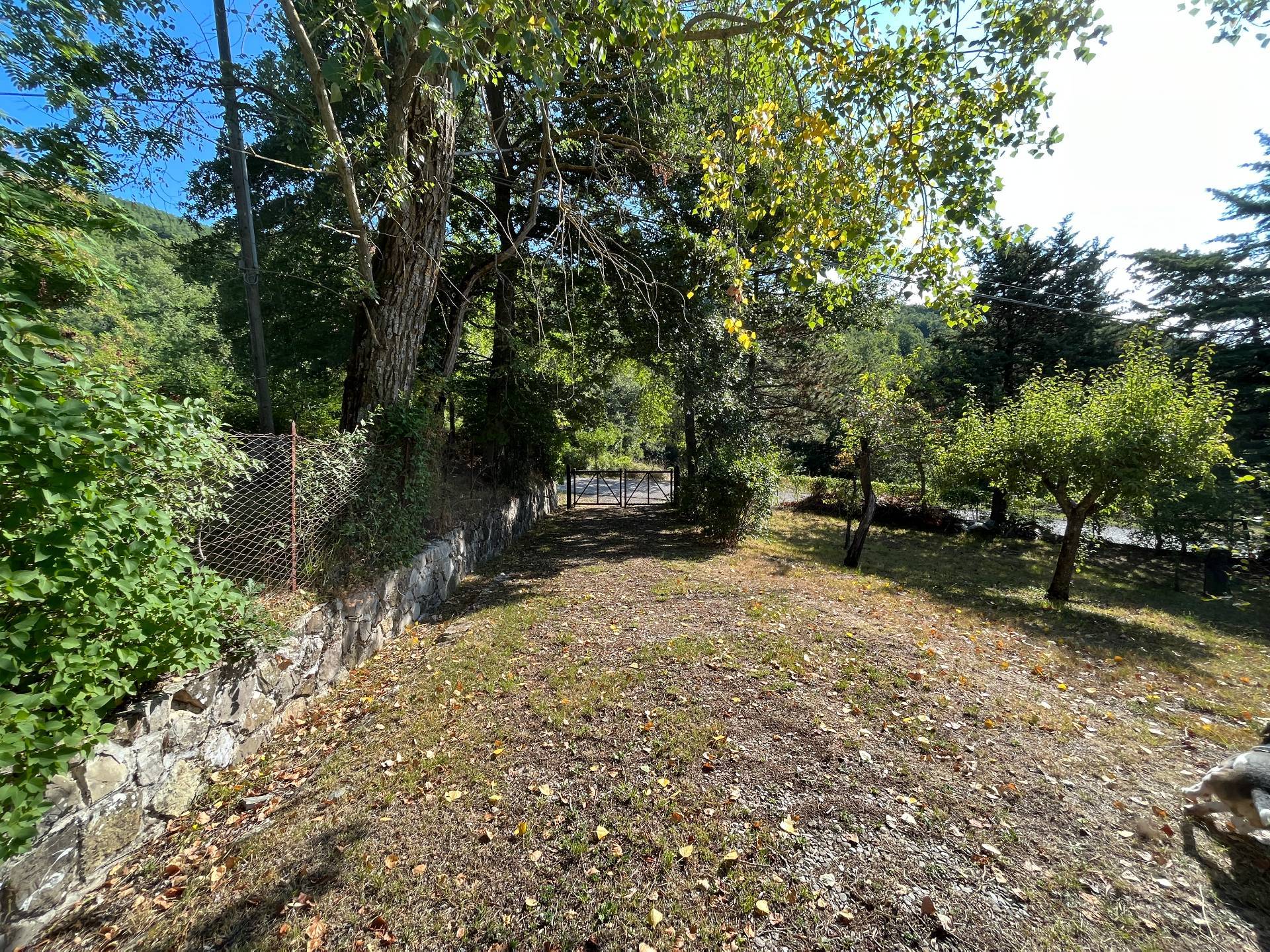 Foto annuncio 21