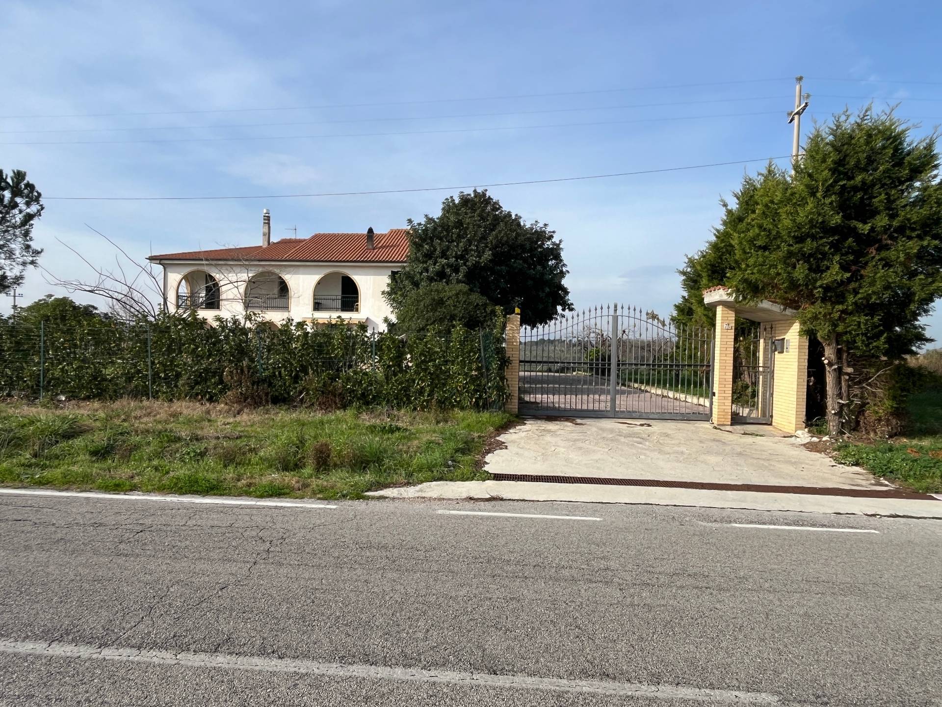 Foto annuncio 8