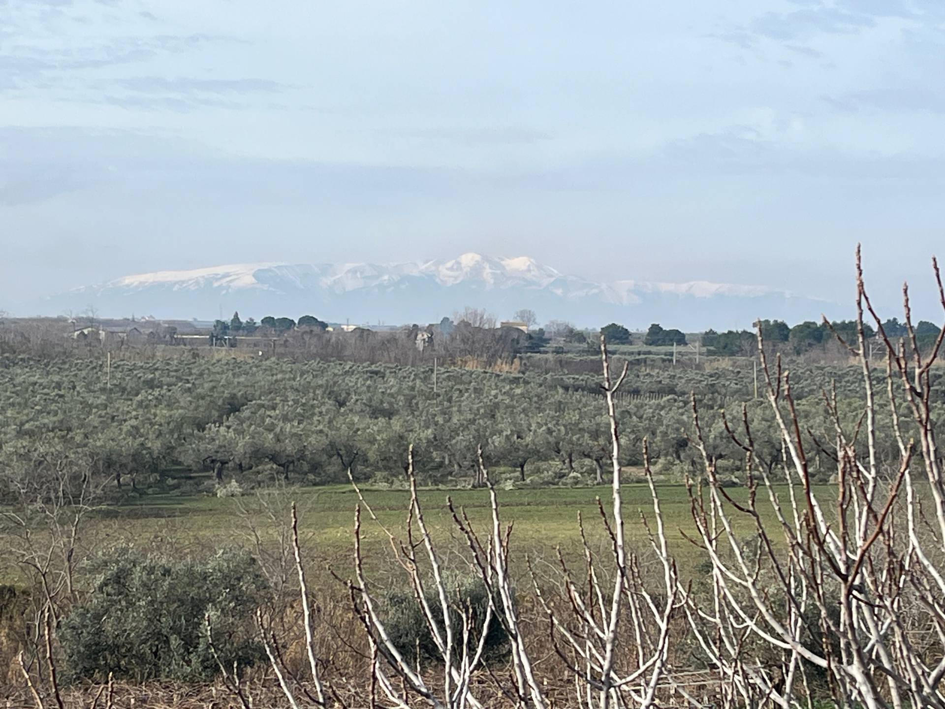 Foto annuncio 7