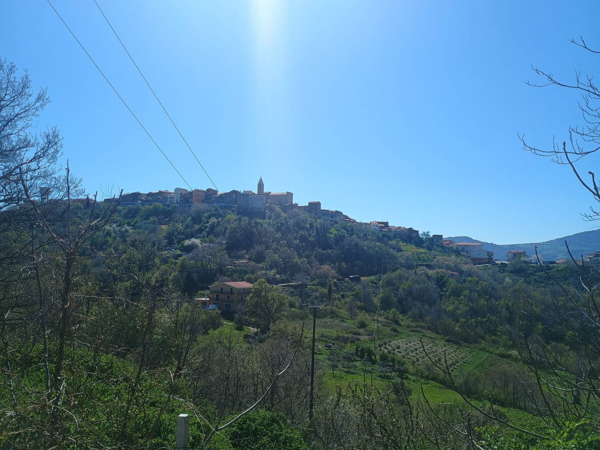Foto annuncio 25
