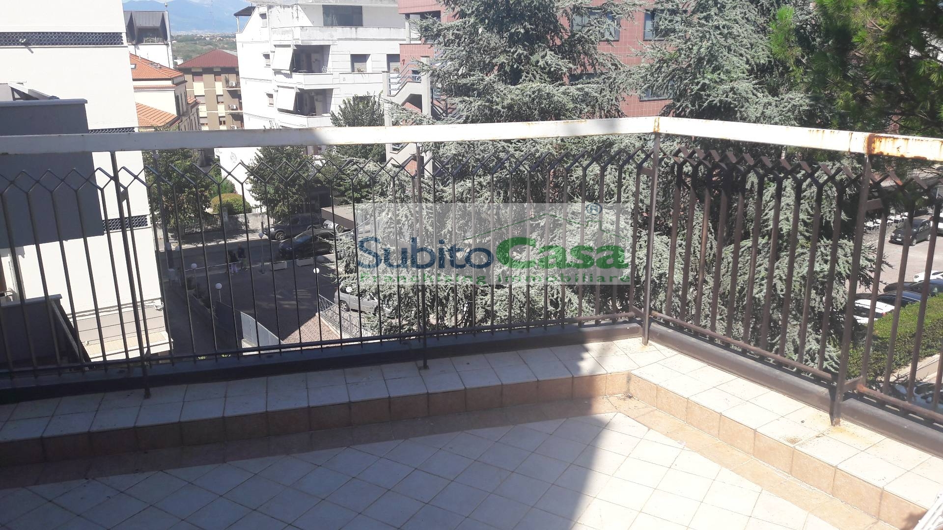 Foto annuncio 31