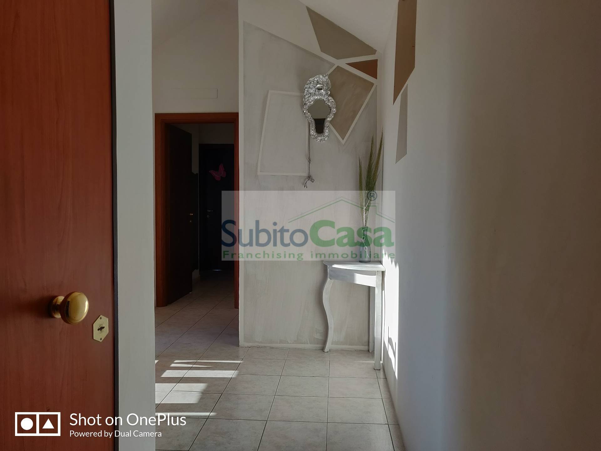 Foto annuncio 7