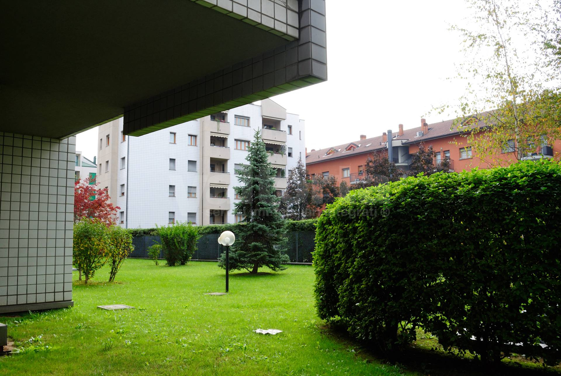 Foto annuncio 1