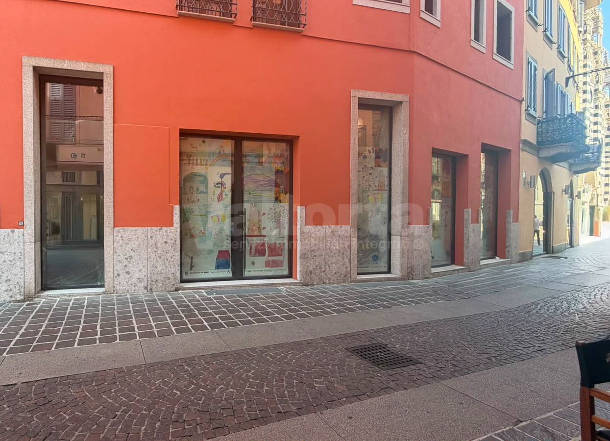 Foto annuncio 6
