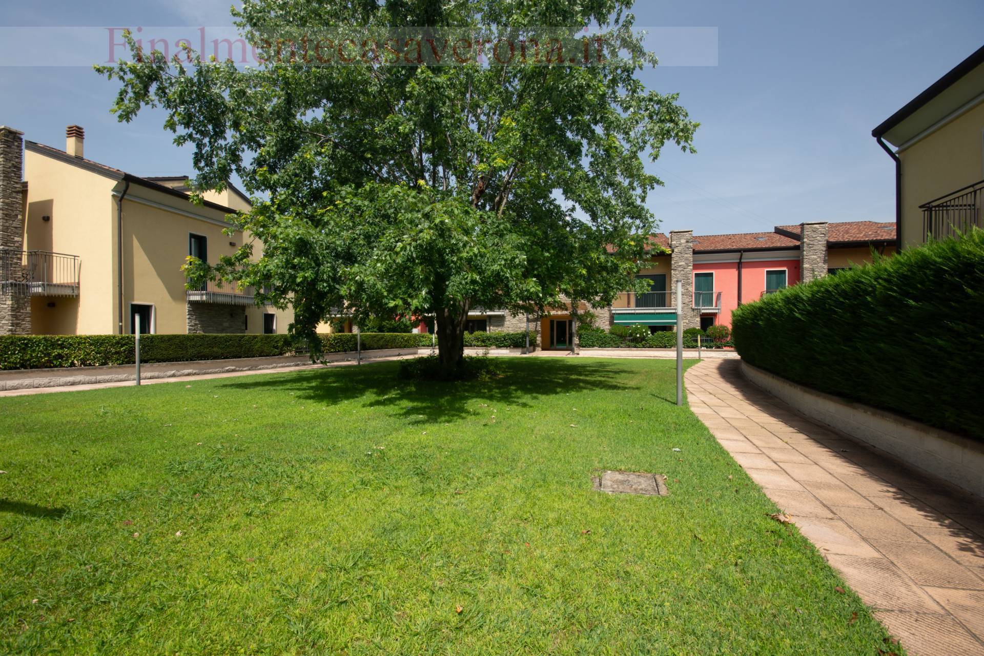 Foto annuncio 14