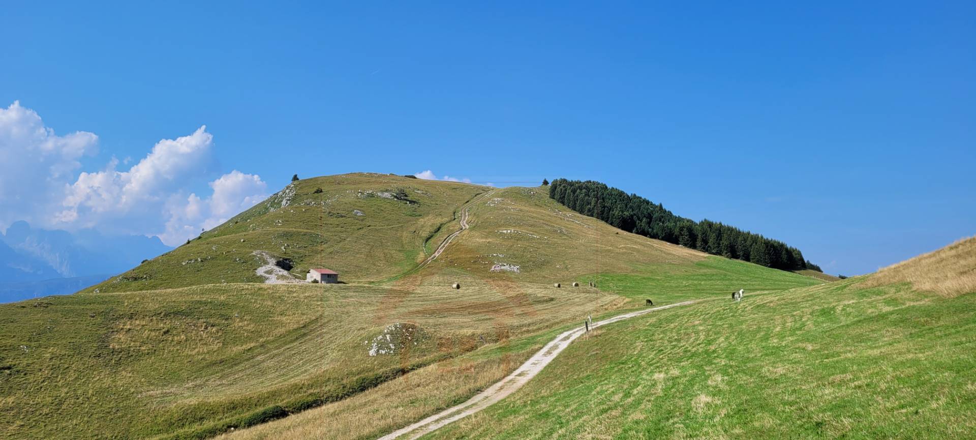 Immagine 15 di Appartamento in vendita  in Localita' Norge 35 a Trento