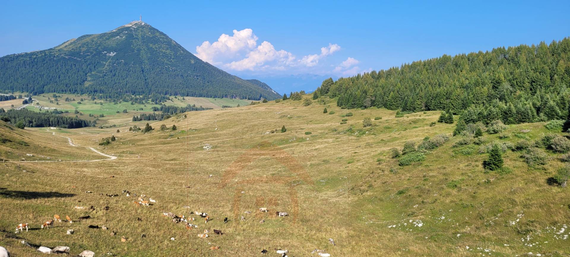 Immagine 16 di Appartamento in vendita  in Localita' Norge 35 a Trento