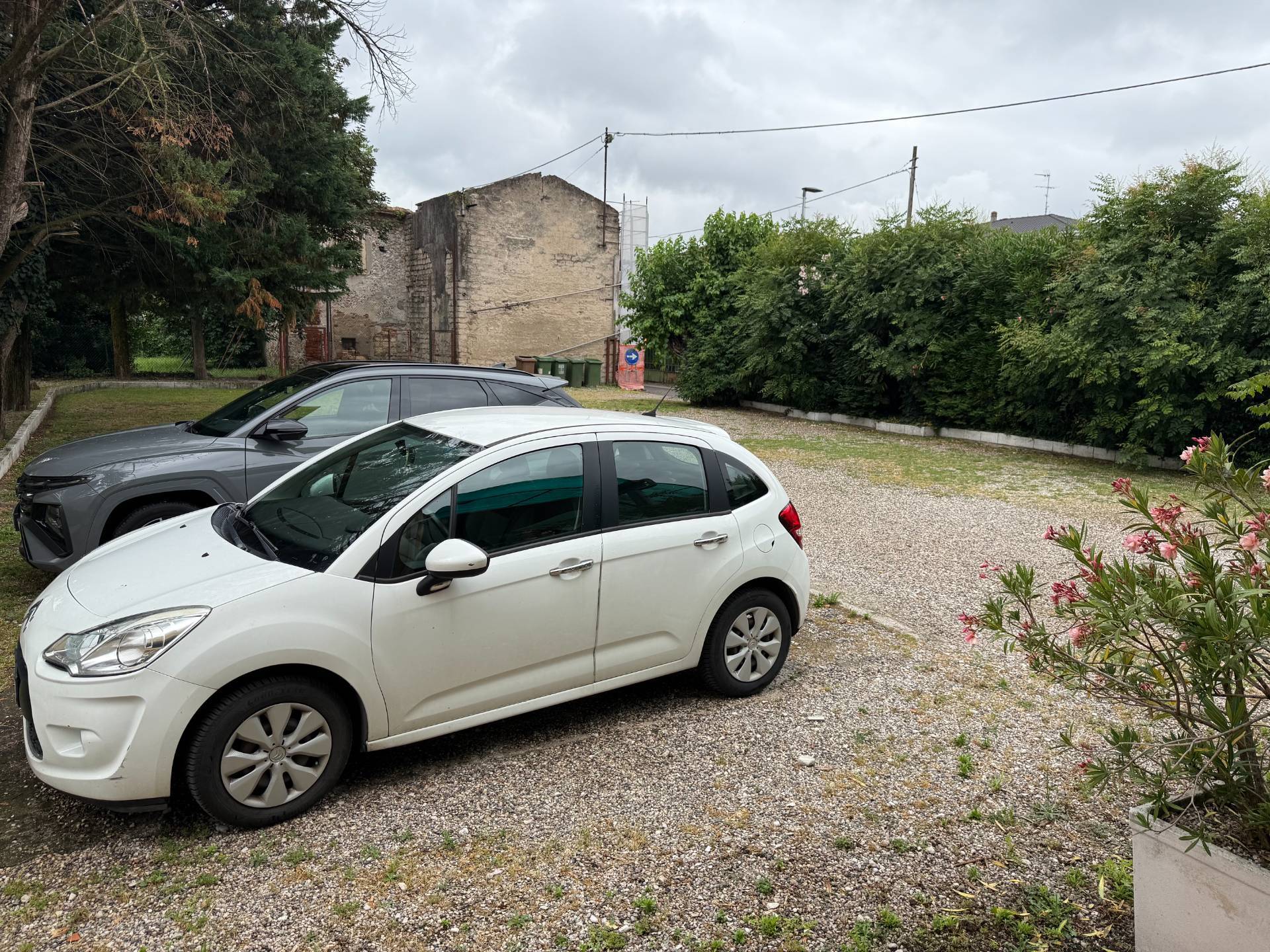 Foto annuncio 6