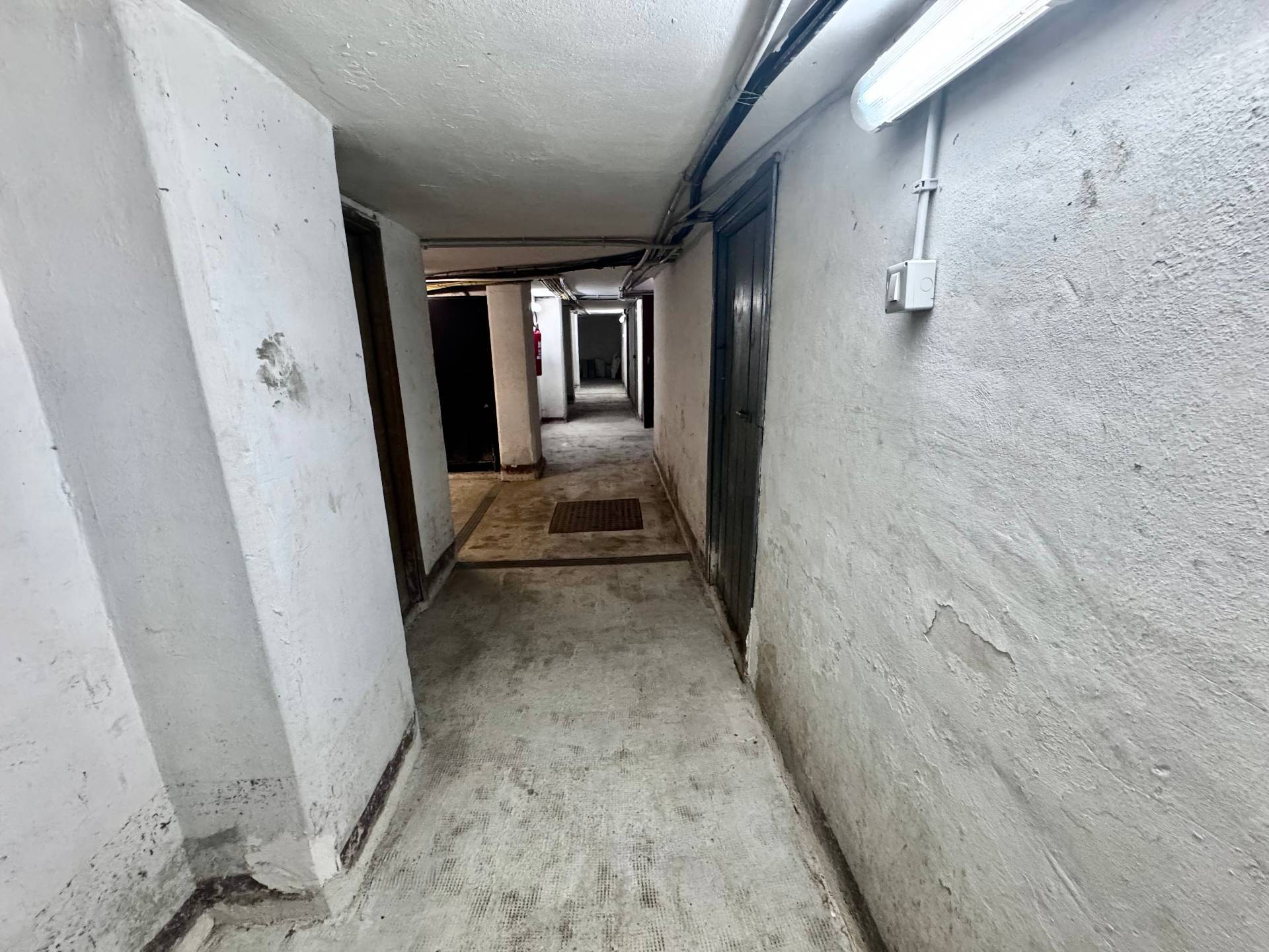 Foto annuncio 23