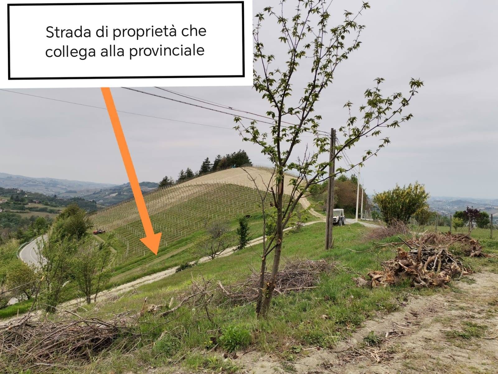 Foto annuncio 16