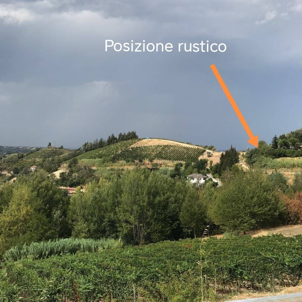Foto annuncio 19