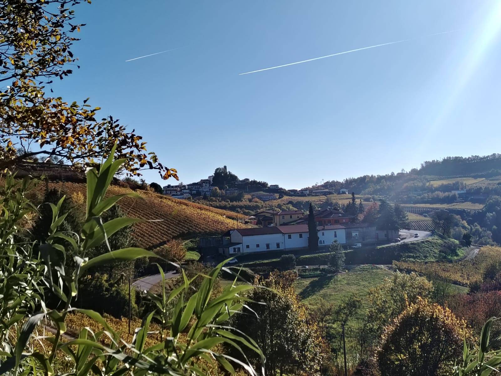 Foto annuncio 22