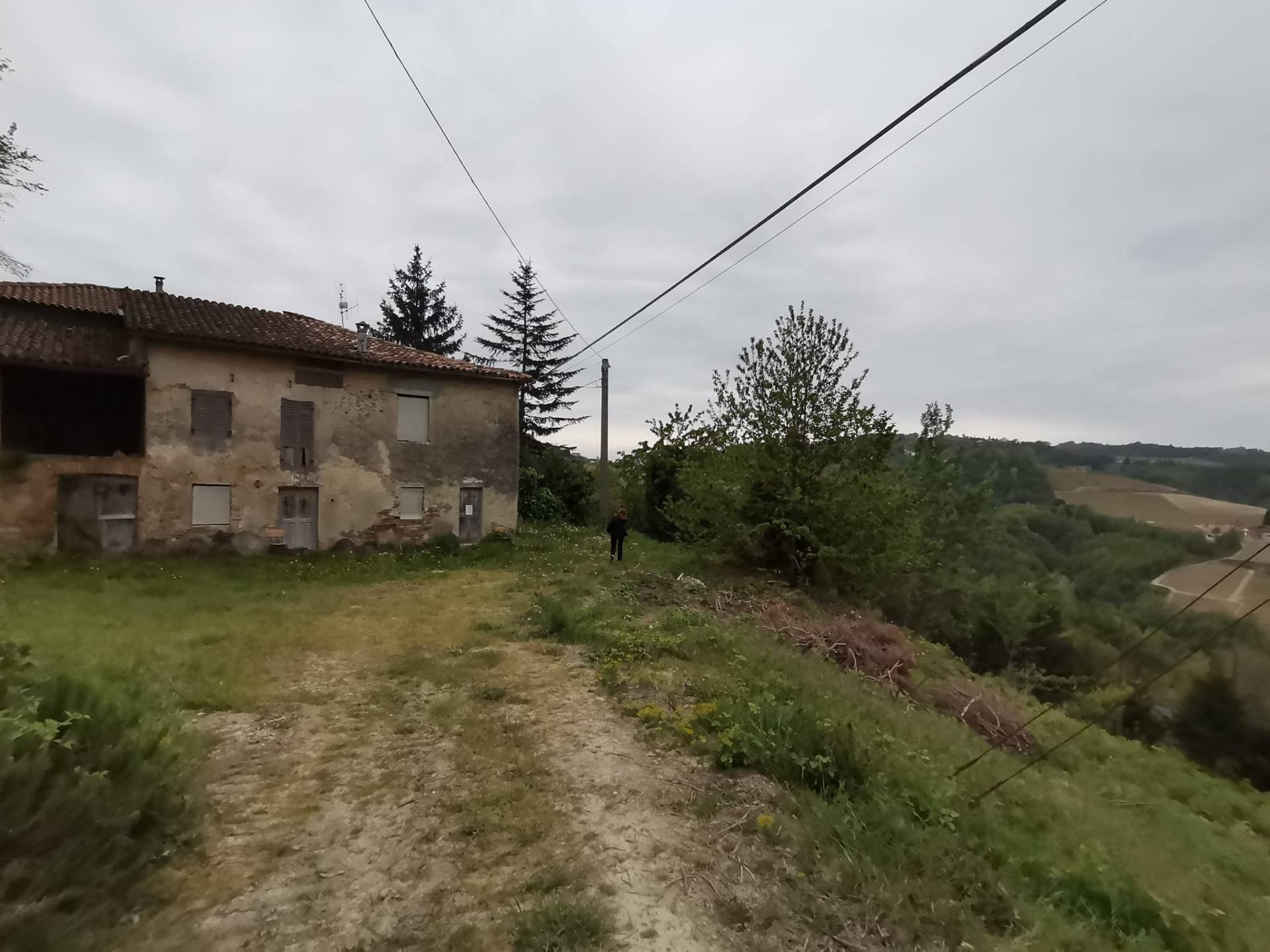 Foto annuncio 8
