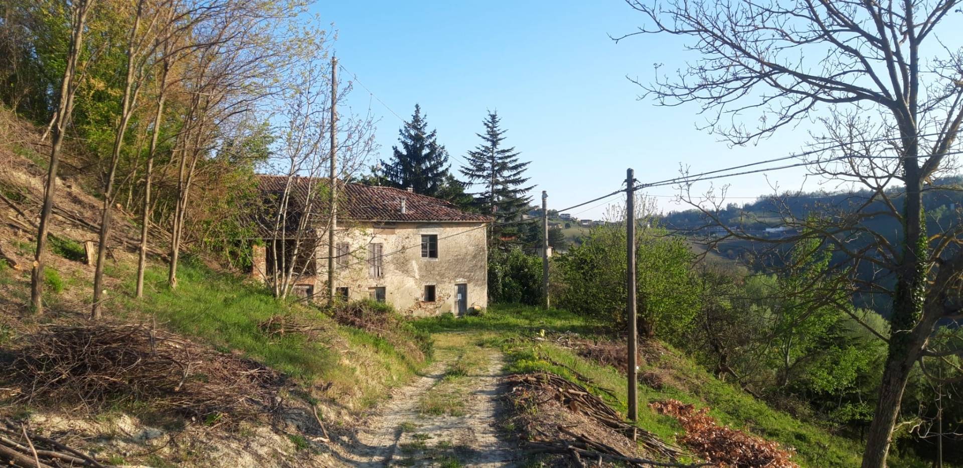 Foto annuncio 7