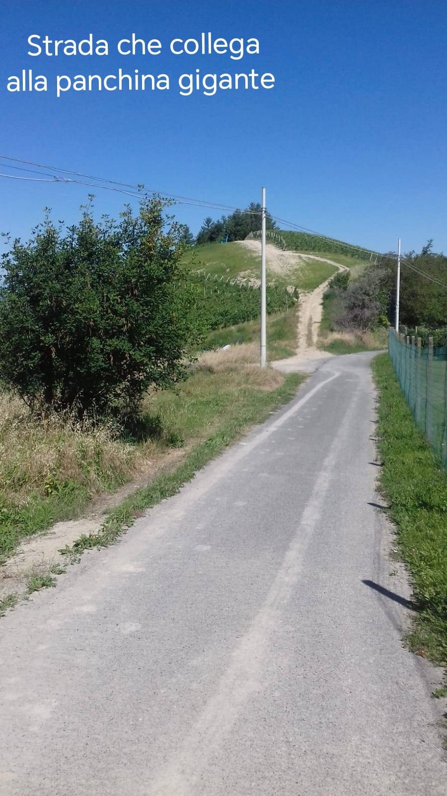 Foto annuncio 27