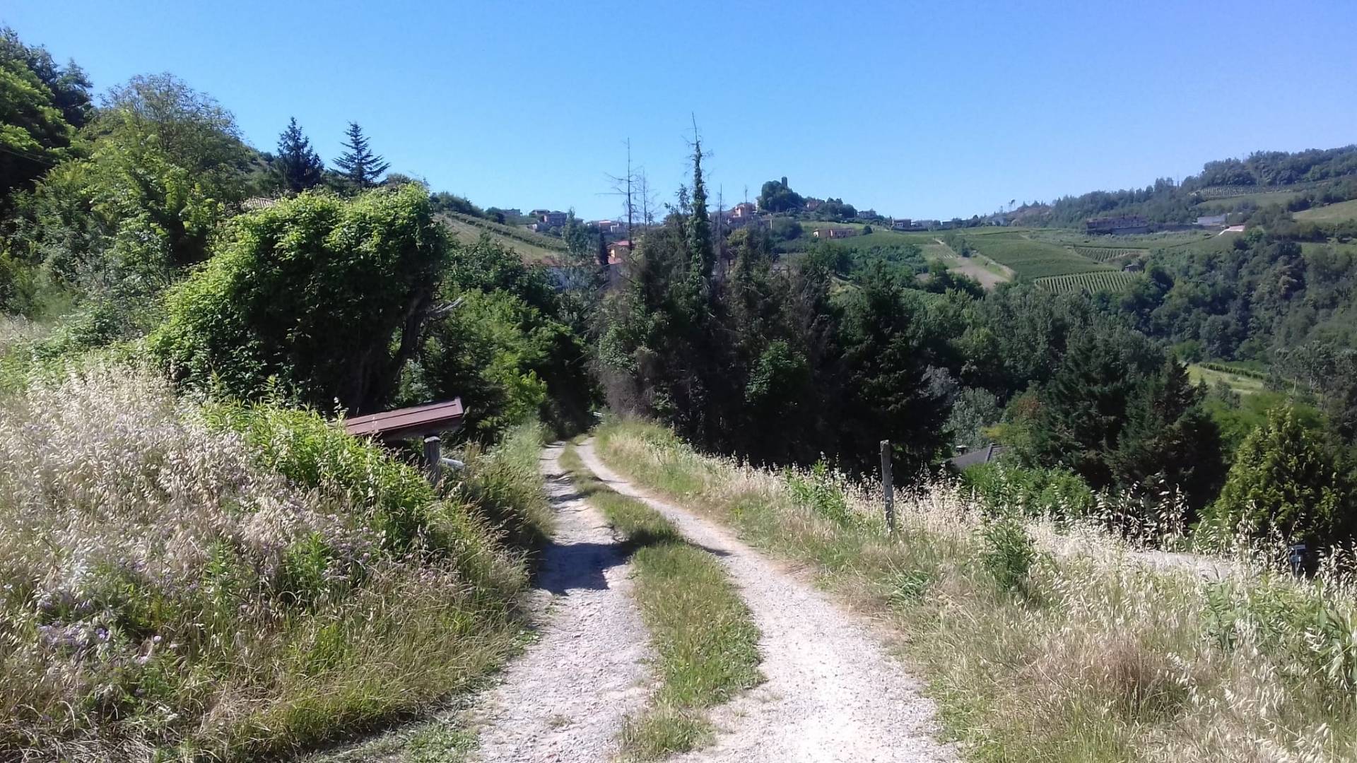 Foto annuncio 10