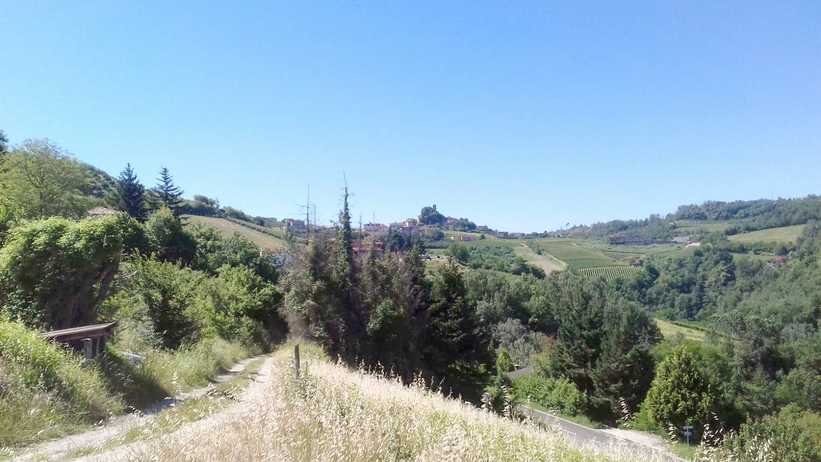 Foto annuncio 11