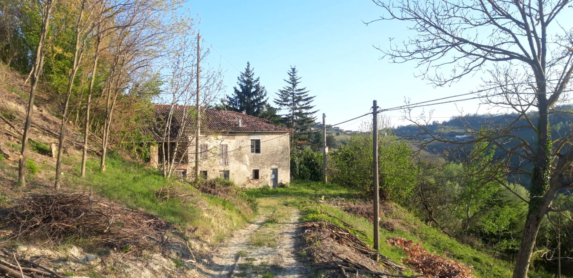 Foto annuncio 4