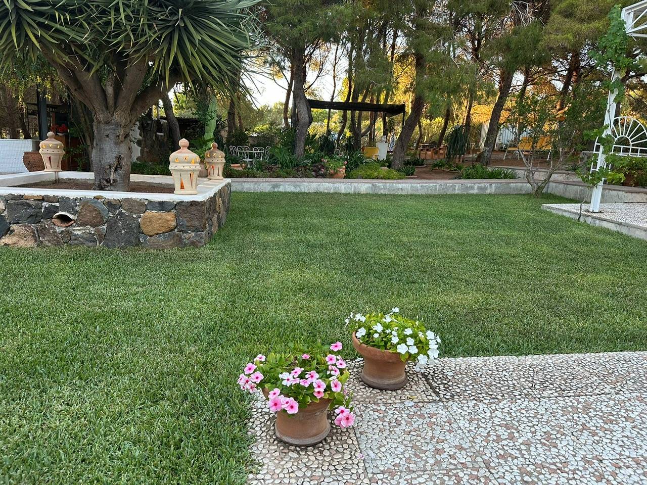 Immagine 49 di Villa in vendita  in CONTRADA OLIASTRELLO snc a Ustica