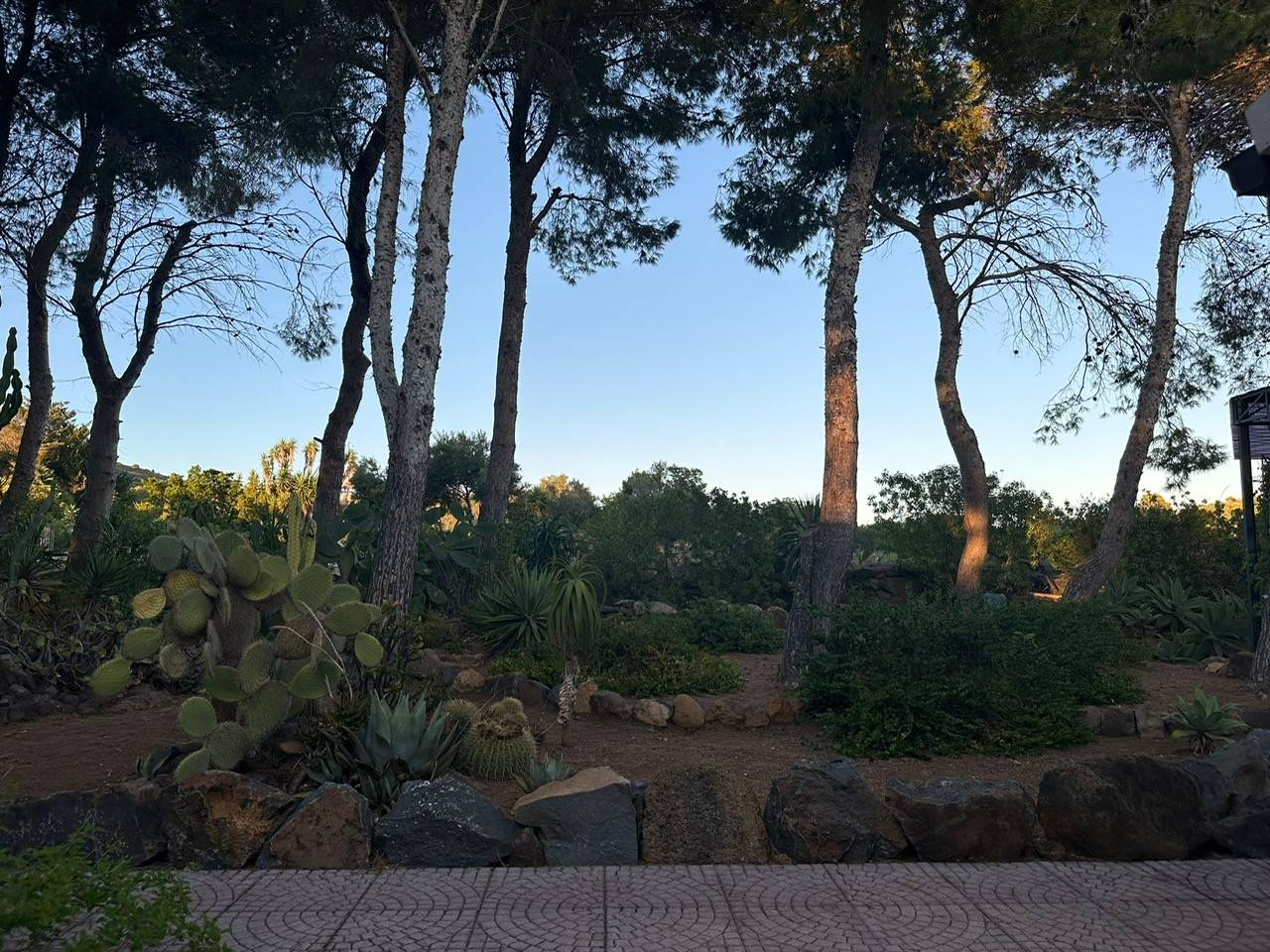 Immagine 52 di Villa in vendita  in CONTRADA OLIASTRELLO snc a Ustica