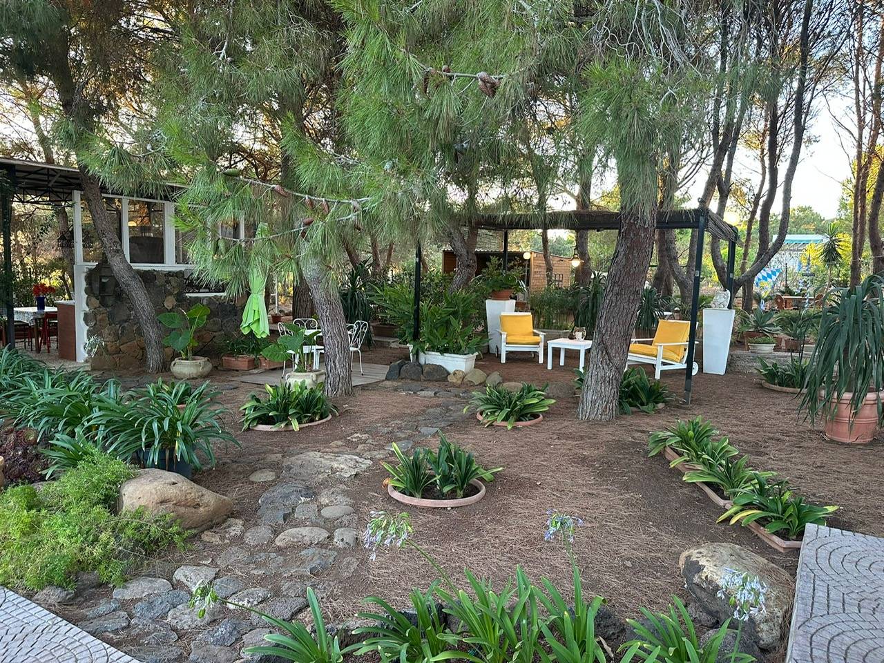 Immagine 54 di Villa in vendita  in CONTRADA OLIASTRELLO snc a Ustica