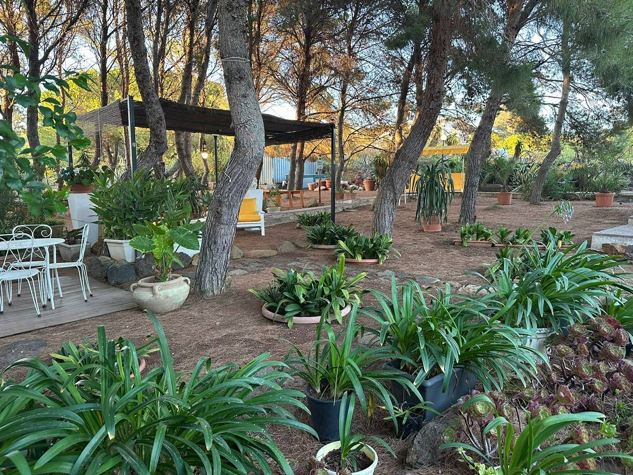 Immagine 58 di Villa in vendita  in CONTRADA OLIASTRELLO snc a Ustica