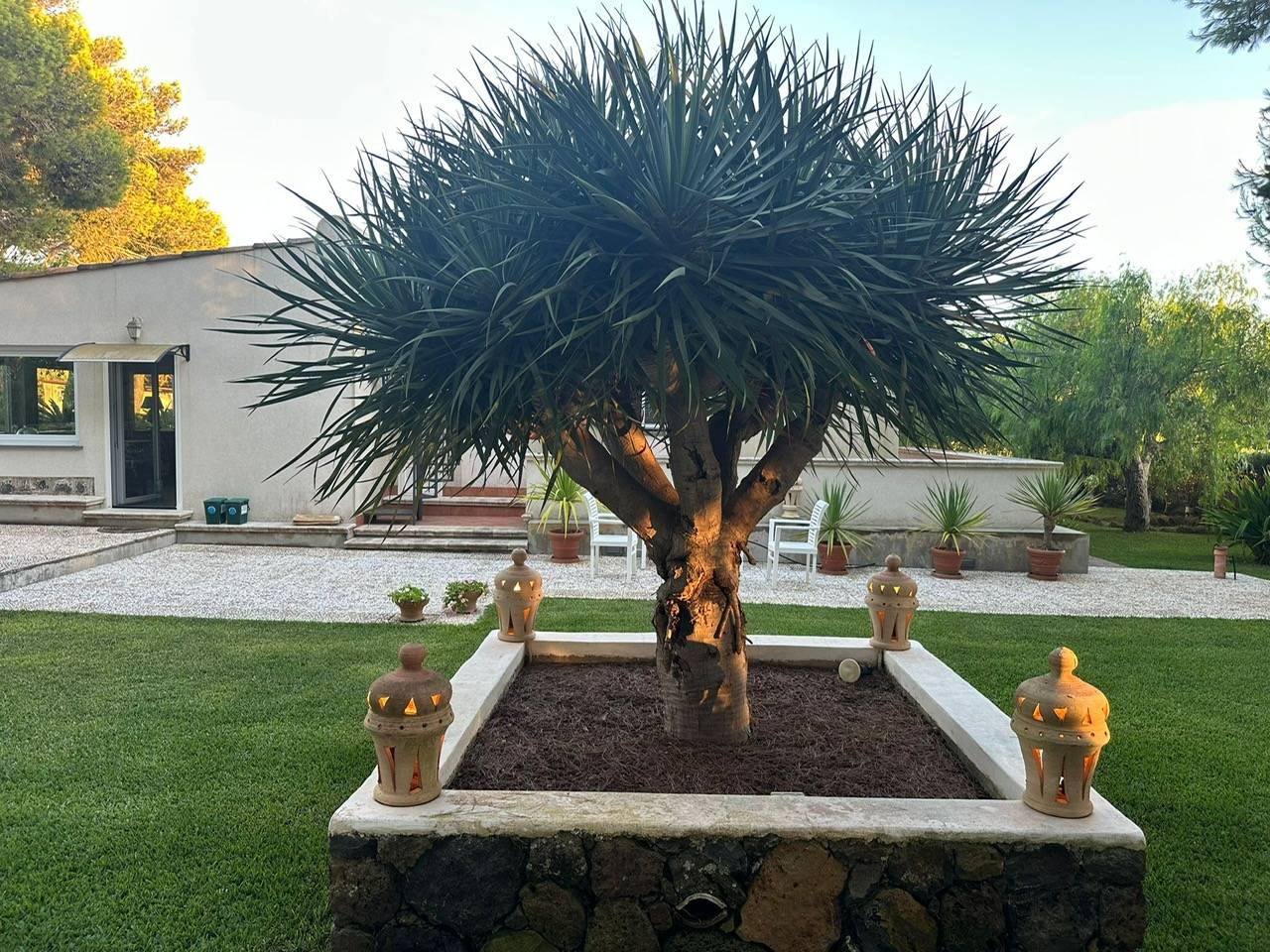 Immagine 59 di Villa in vendita  in CONTRADA OLIASTRELLO snc a Ustica