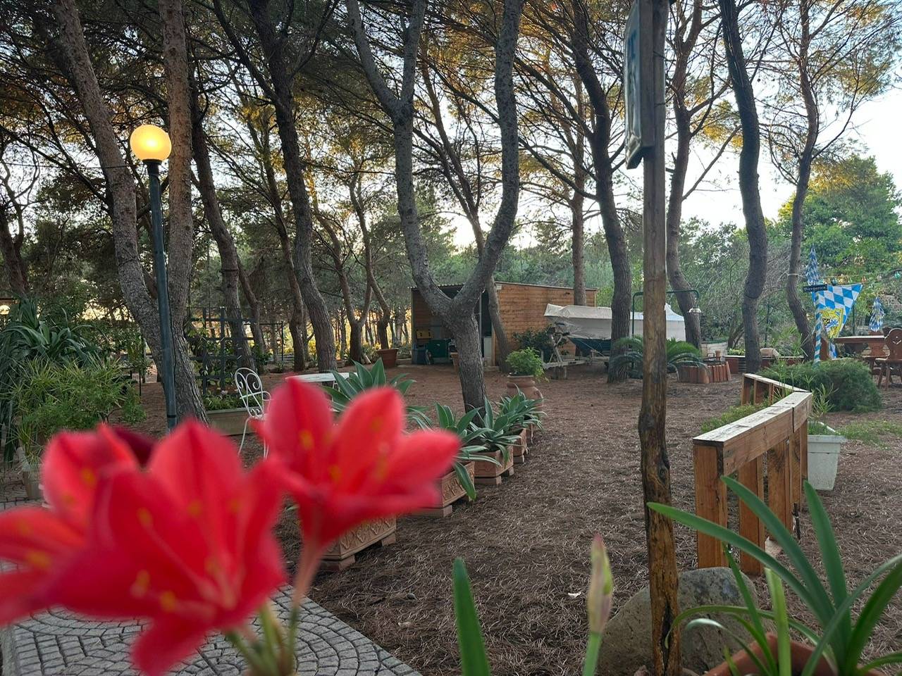 Immagine 65 di Villa in vendita  in CONTRADA OLIASTRELLO snc a Ustica