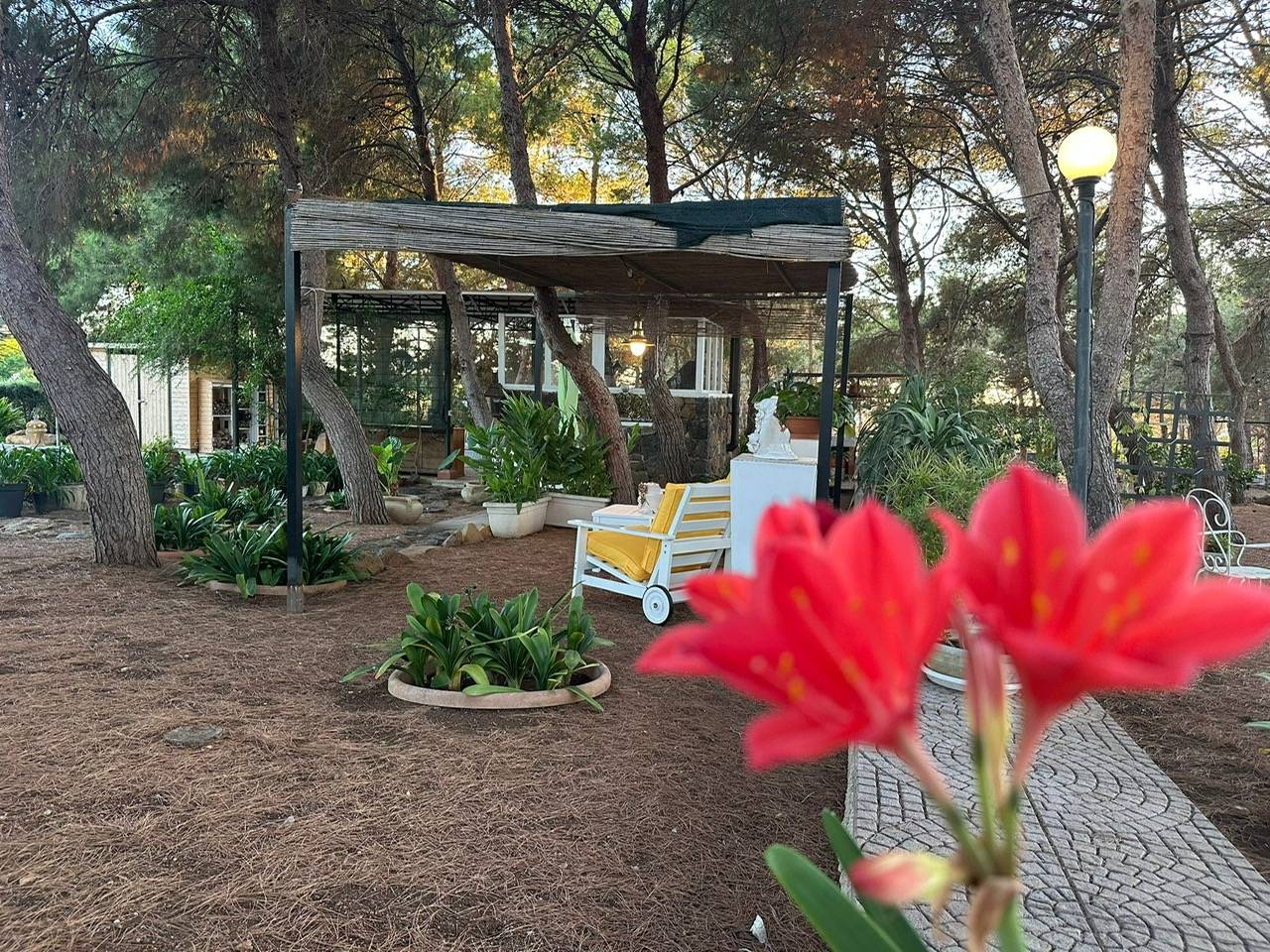 Immagine 67 di Villa in vendita  in CONTRADA OLIASTRELLO snc a Ustica