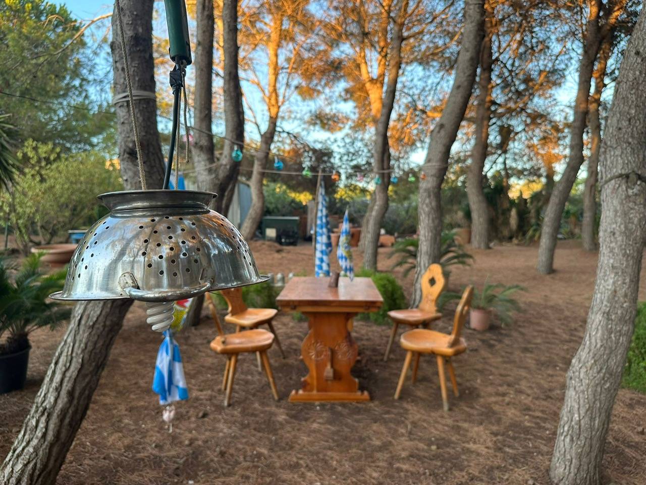 Immagine 69 di Villa in vendita  in CONTRADA OLIASTRELLO snc a Ustica