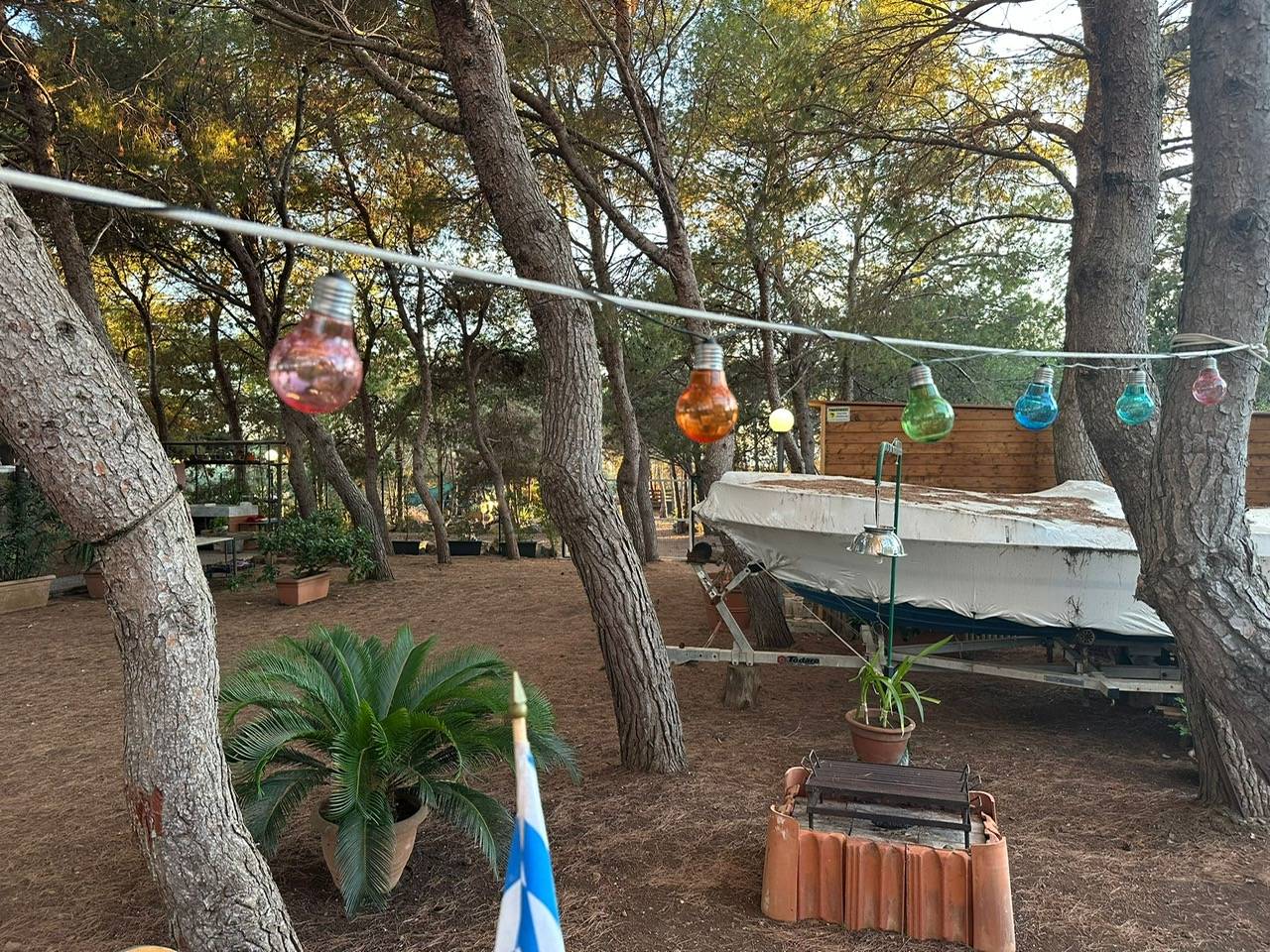 Immagine 70 di Villa in vendita  in CONTRADA OLIASTRELLO snc a Ustica