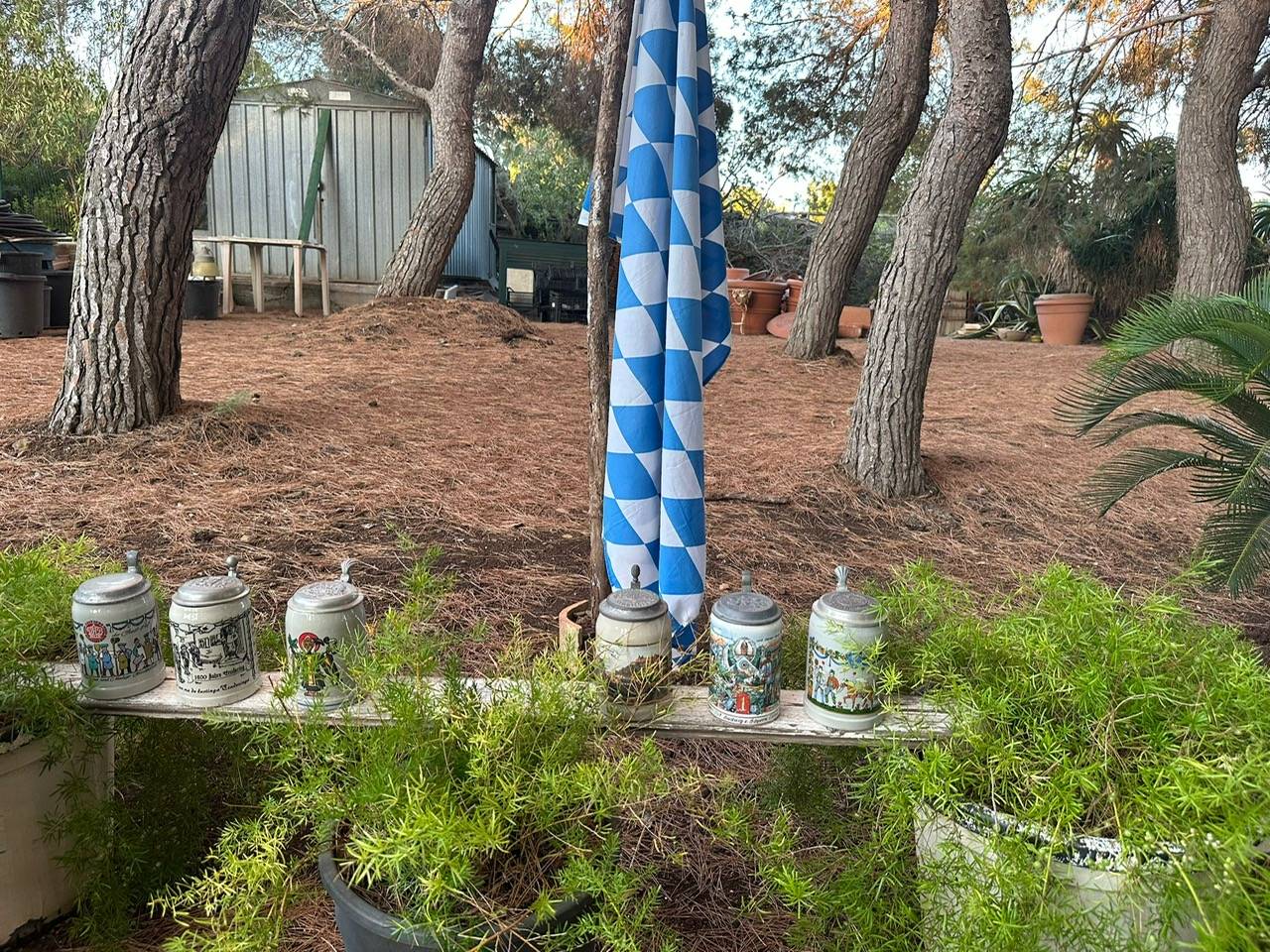 Immagine 71 di Villa in vendita  in CONTRADA OLIASTRELLO snc a Ustica