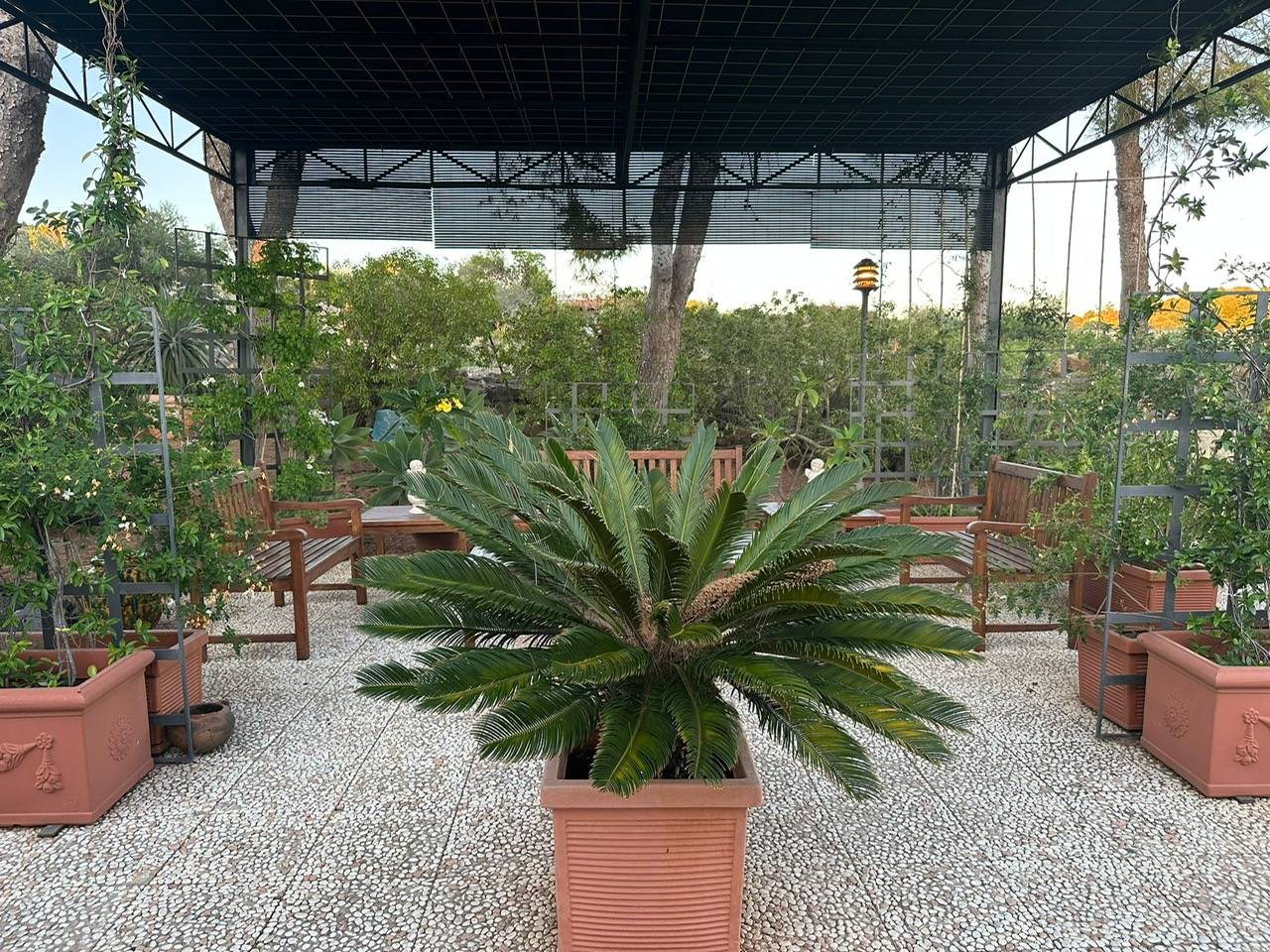 Immagine 74 di Villa in vendita  in CONTRADA OLIASTRELLO snc a Ustica