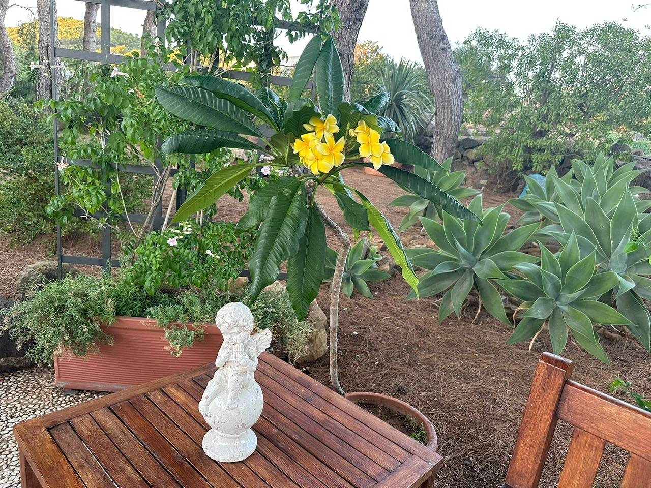 Immagine 75 di Villa in vendita  in CONTRADA OLIASTRELLO snc a Ustica