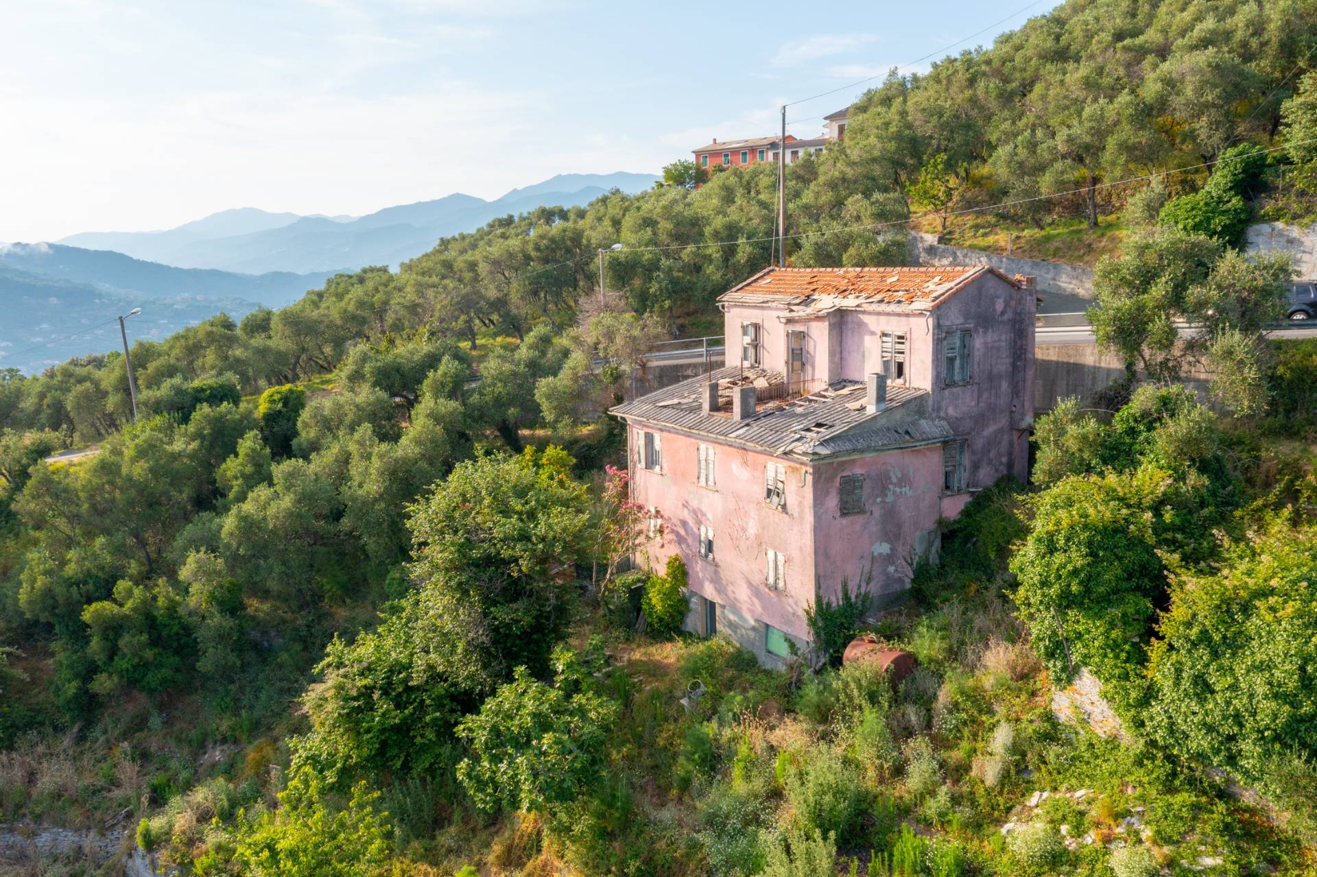 Immagine 2 di Villa in vendita  in VIA CAV. FELICE COGORNO 295 a Avegno