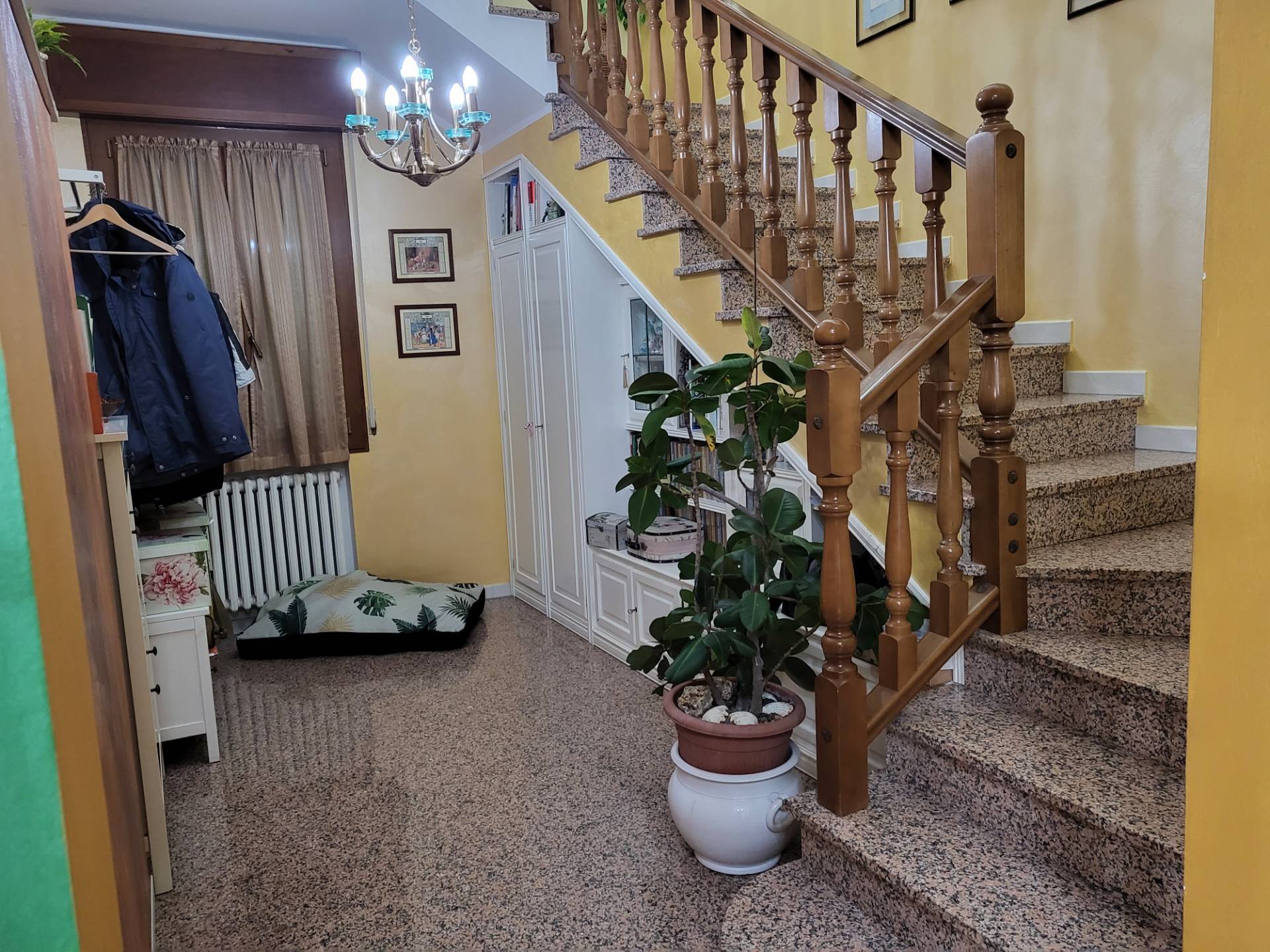 Foto annuncio 7