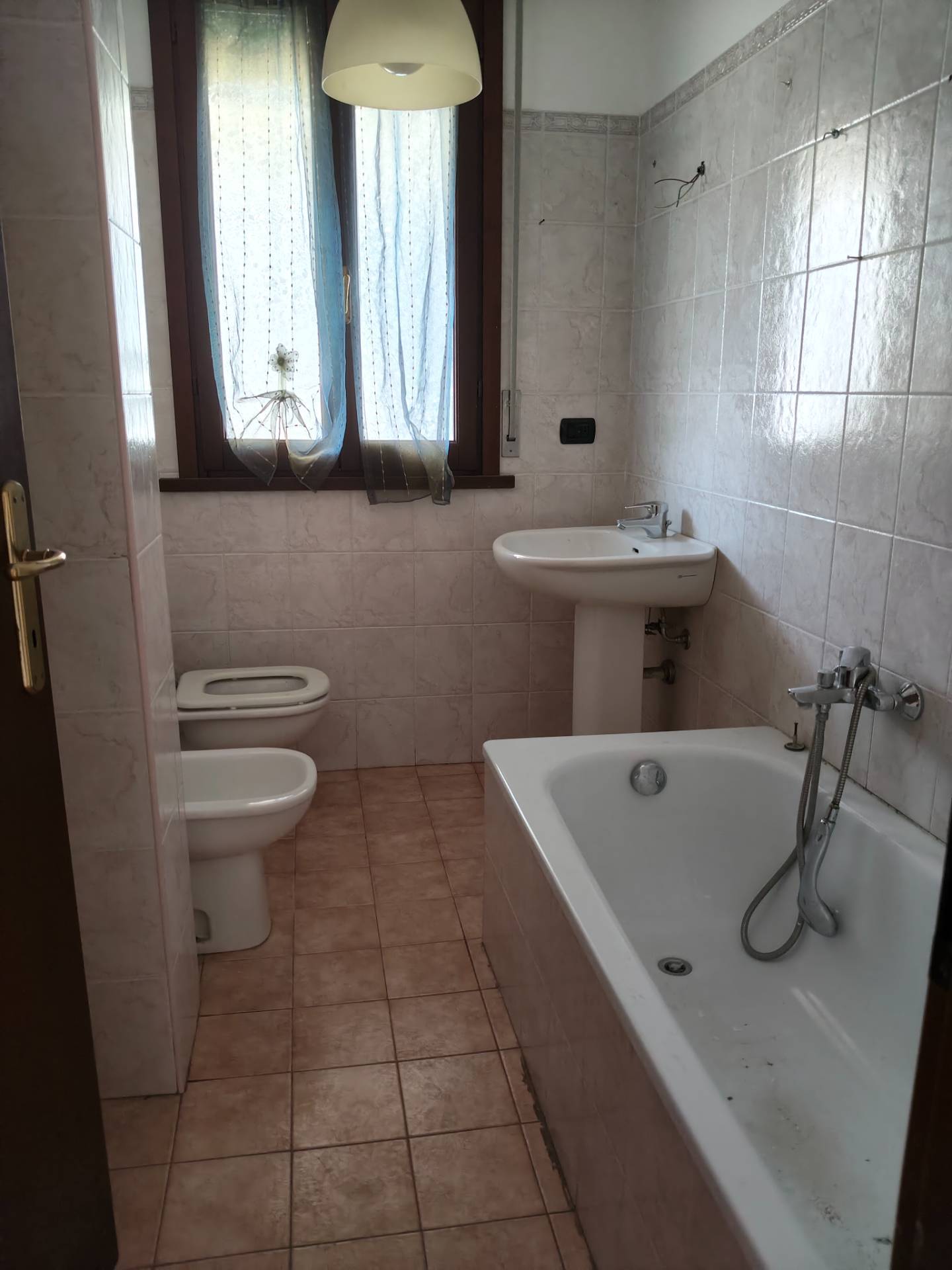 Foto annuncio 10