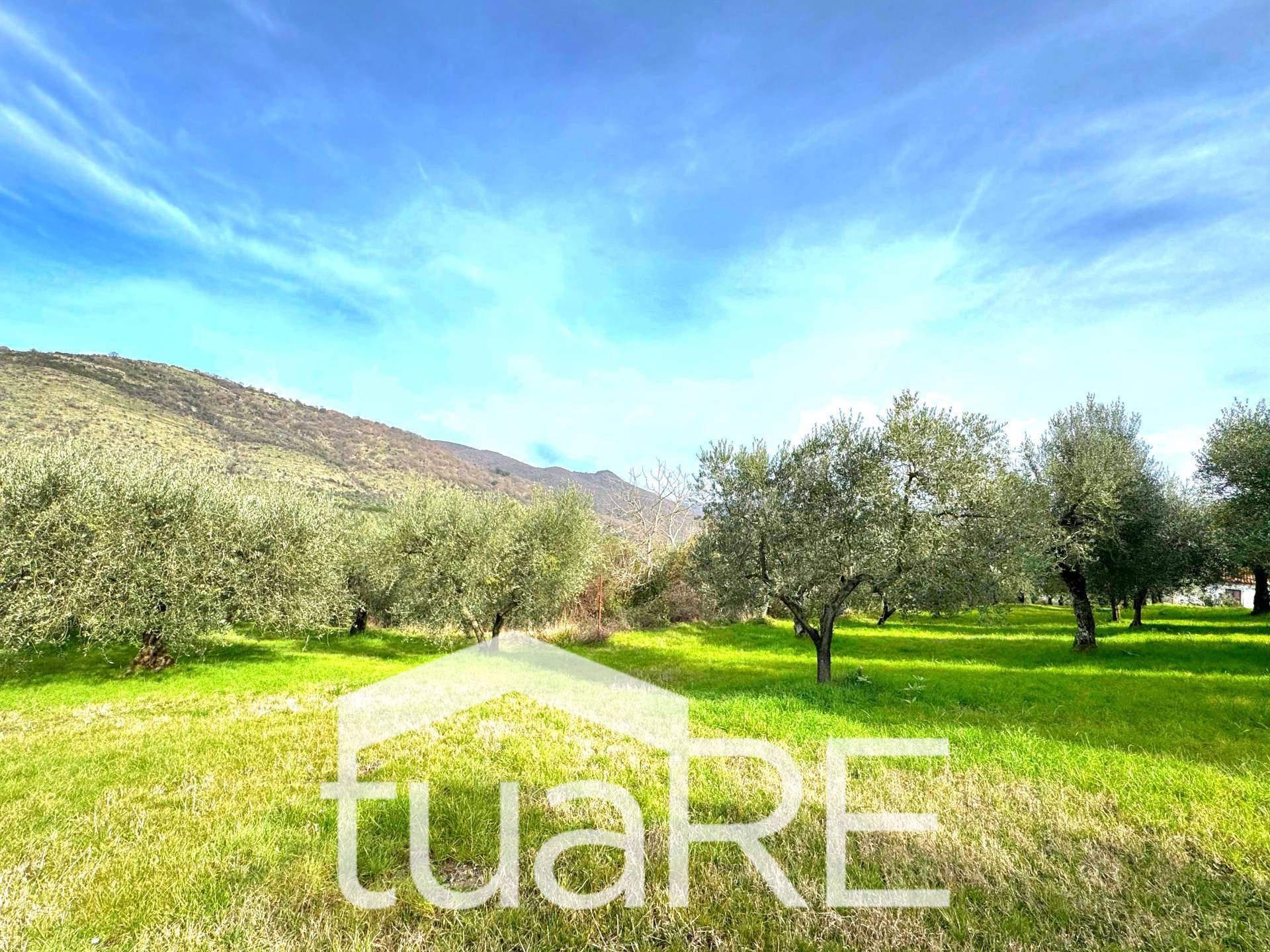 Immagine 6 di Villa in vendita  in via di valle caprara a Castel Madama