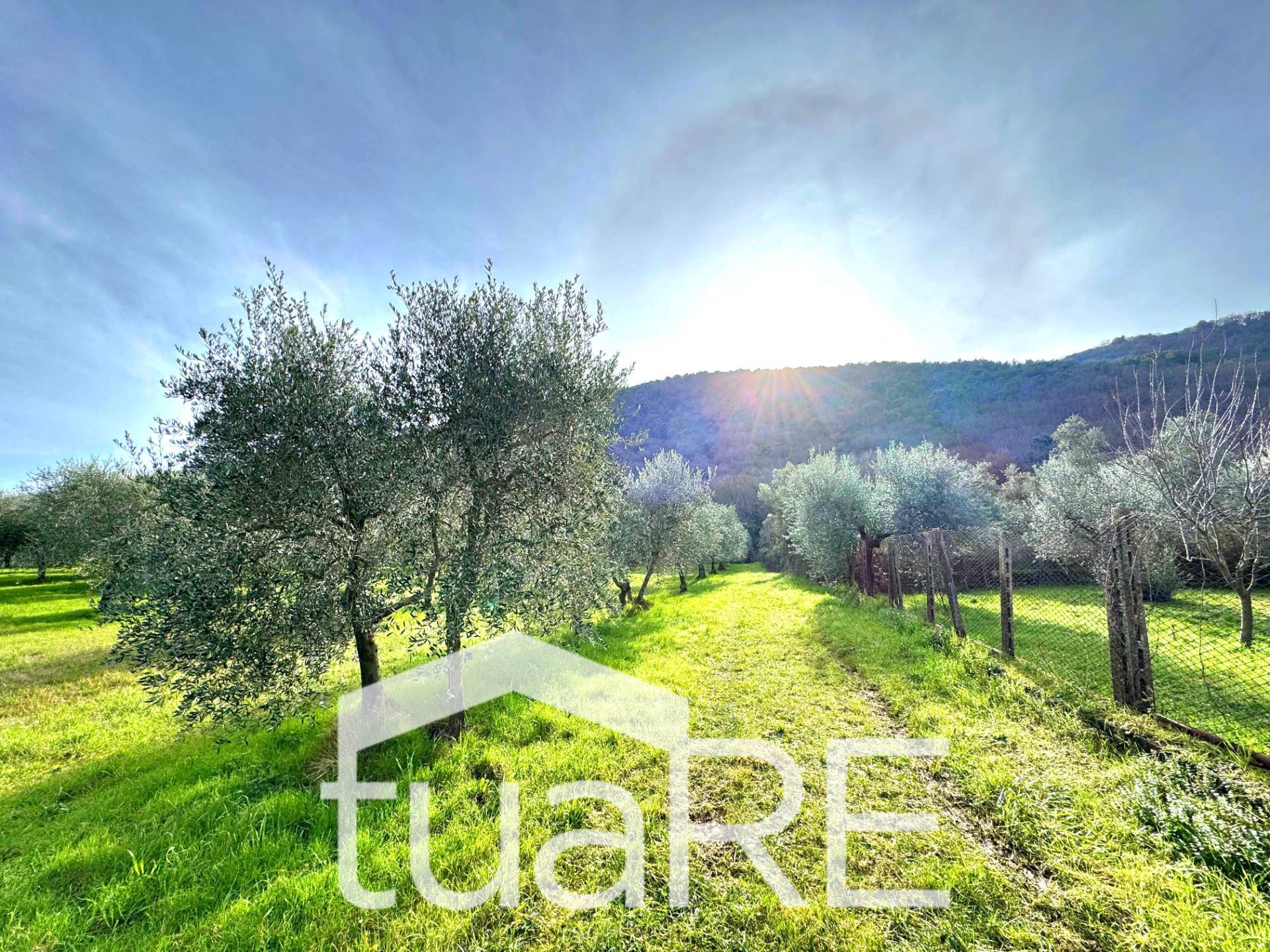 Immagine 15 di Villa in vendita  in via di valle caprara a Castel Madama