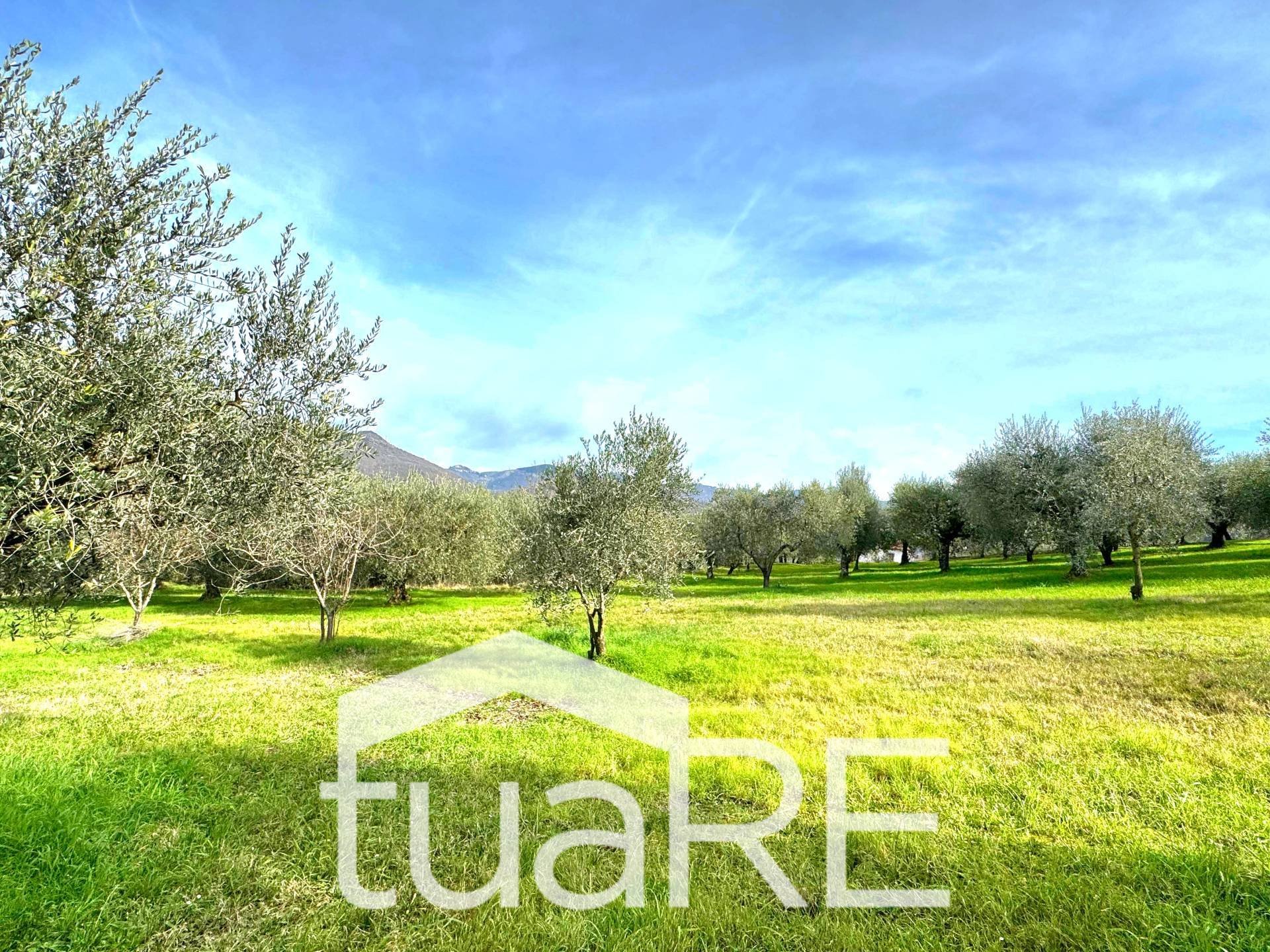 Immagine 16 di Villa in vendita  in via di valle caprara a Castel Madama