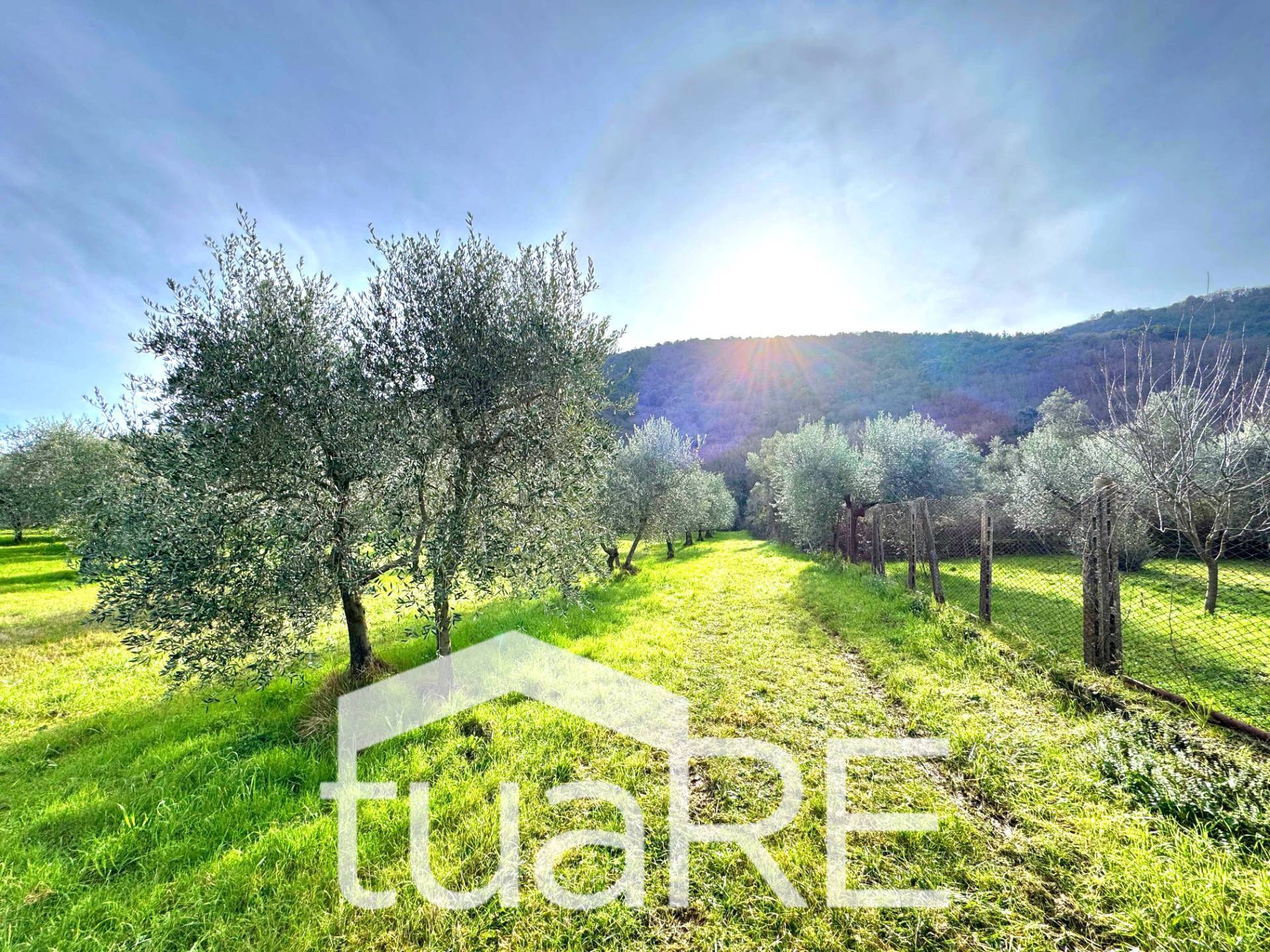 Immagine 39 di Villa in vendita  in via di valle caprara a Castel Madama