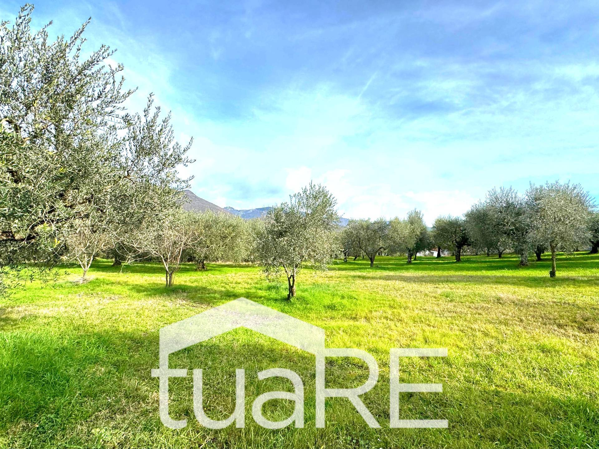 Immagine 40 di Villa in vendita  in via di valle caprara a Castel Madama