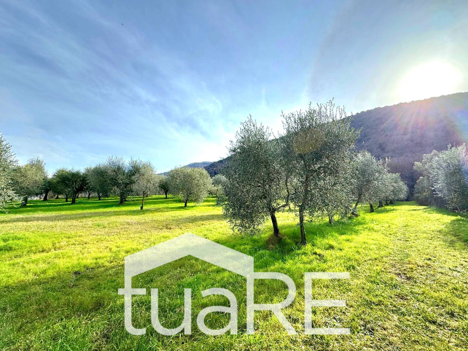 Immagine 41 di Villa in vendita  in via di valle caprara a Castel Madama