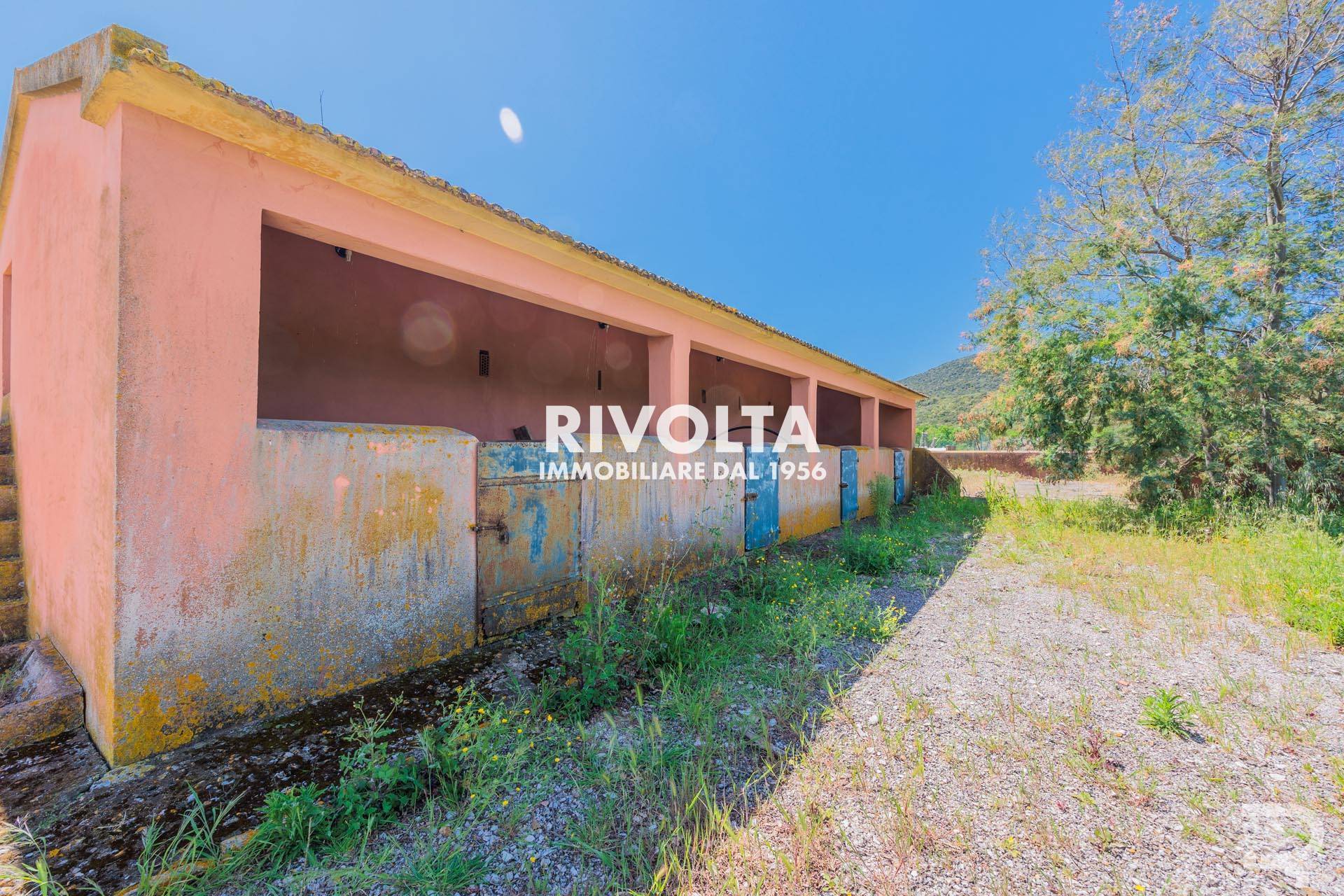 Immagine 4 di Rustico / casale in vendita  in con terreno in maremma a Magliano In Toscana