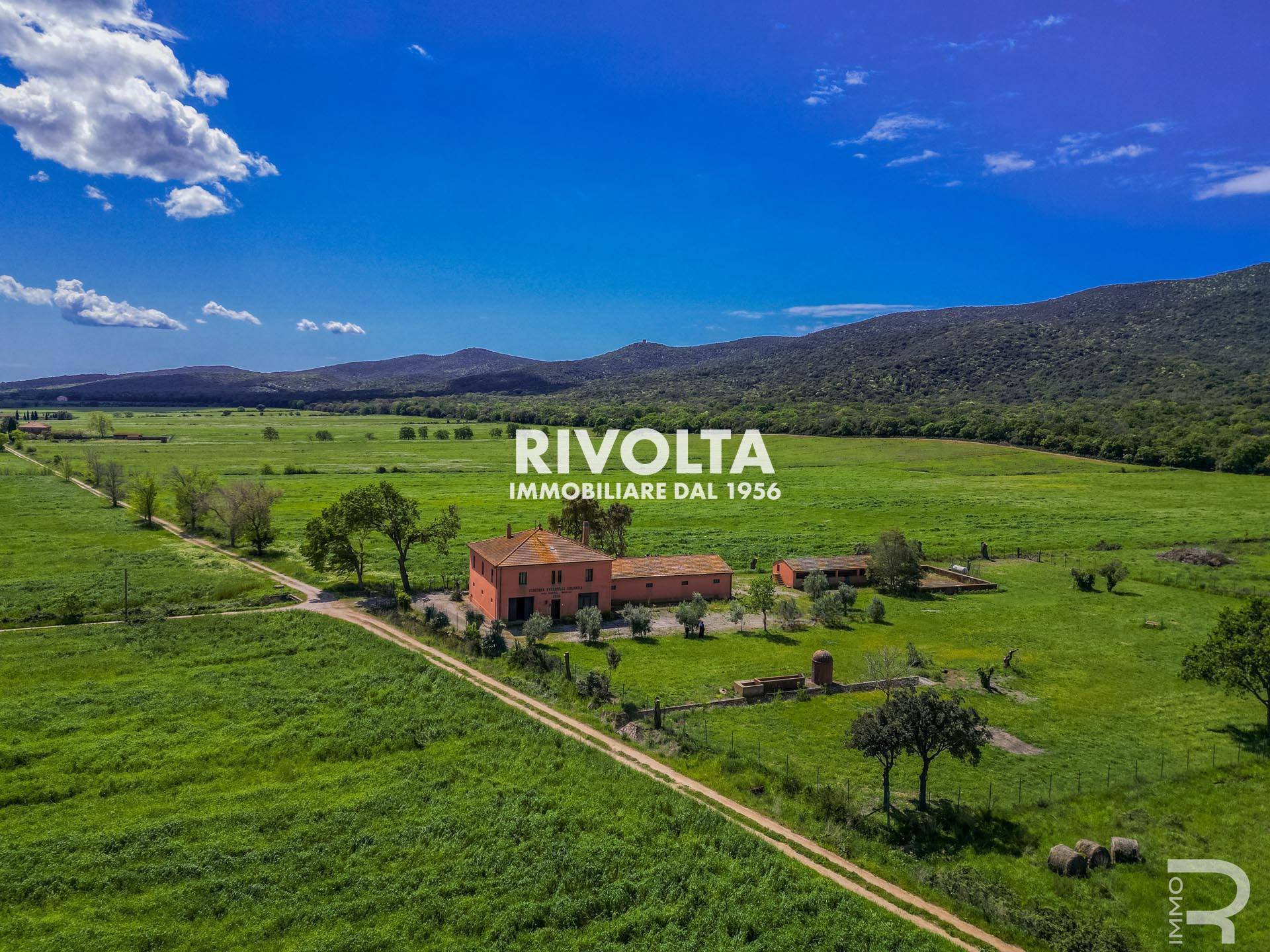 Immagine 5 di Rustico / casale in vendita  in con terreno in maremma a Magliano In Toscana