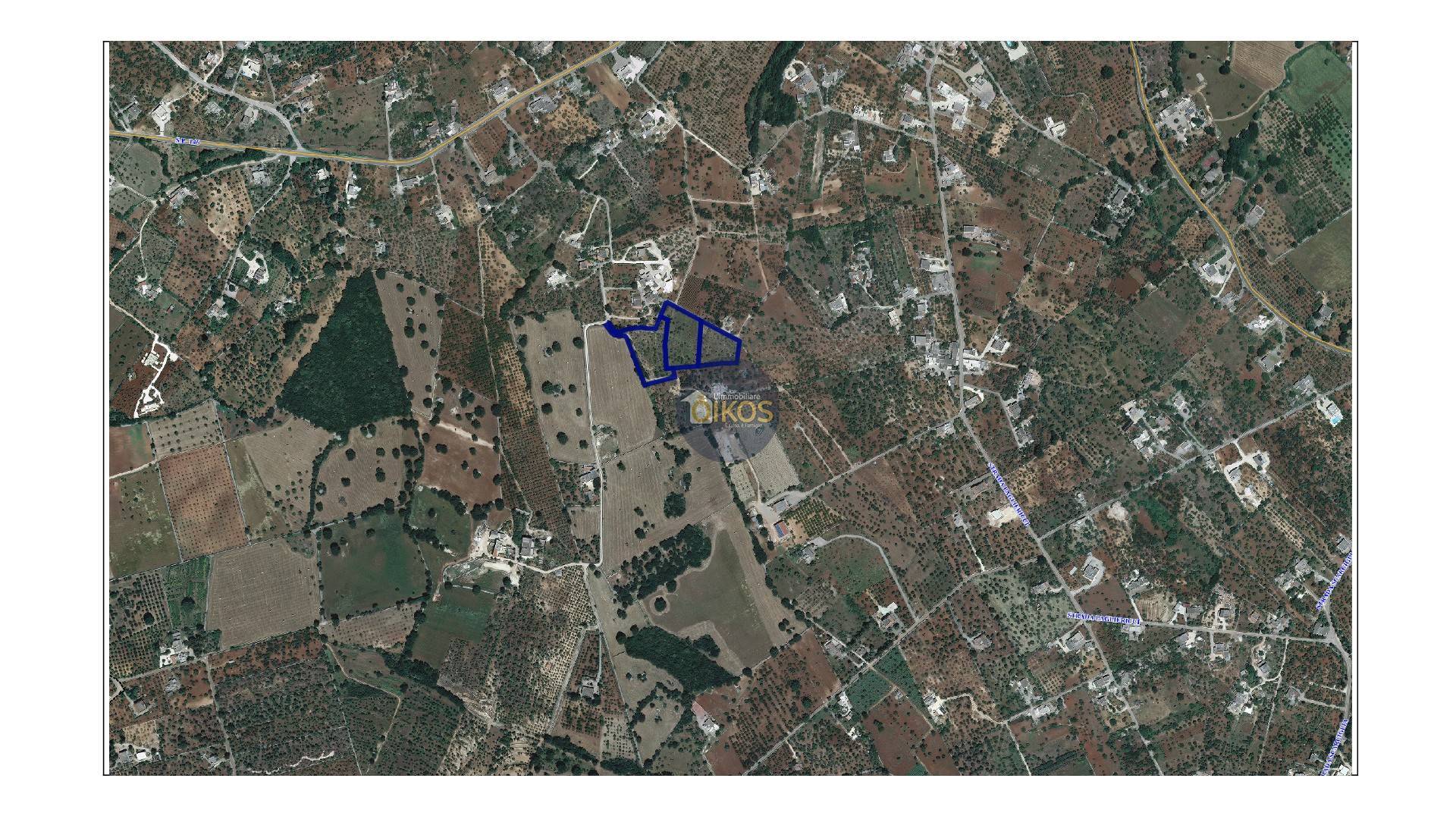 Immagine 42 di Terreno agricolo in vendita  in Contrada Romanazzi a Monopoli