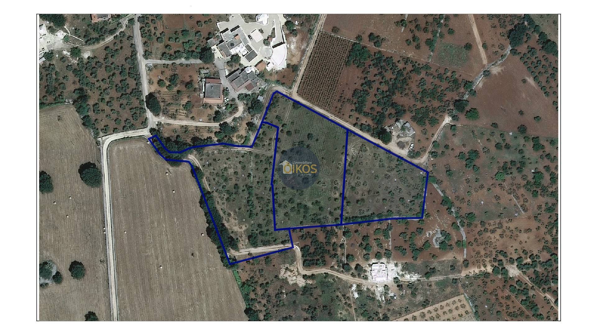 Immagine 41 di Terreno agricolo in vendita  in Contrada Romanazzi a Monopoli