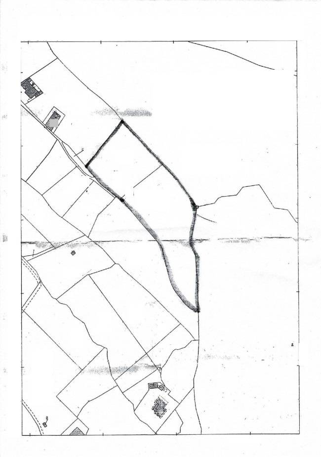 Immagine 18 di Terreno agricolo in vendita  in contrada conchia a Monopoli